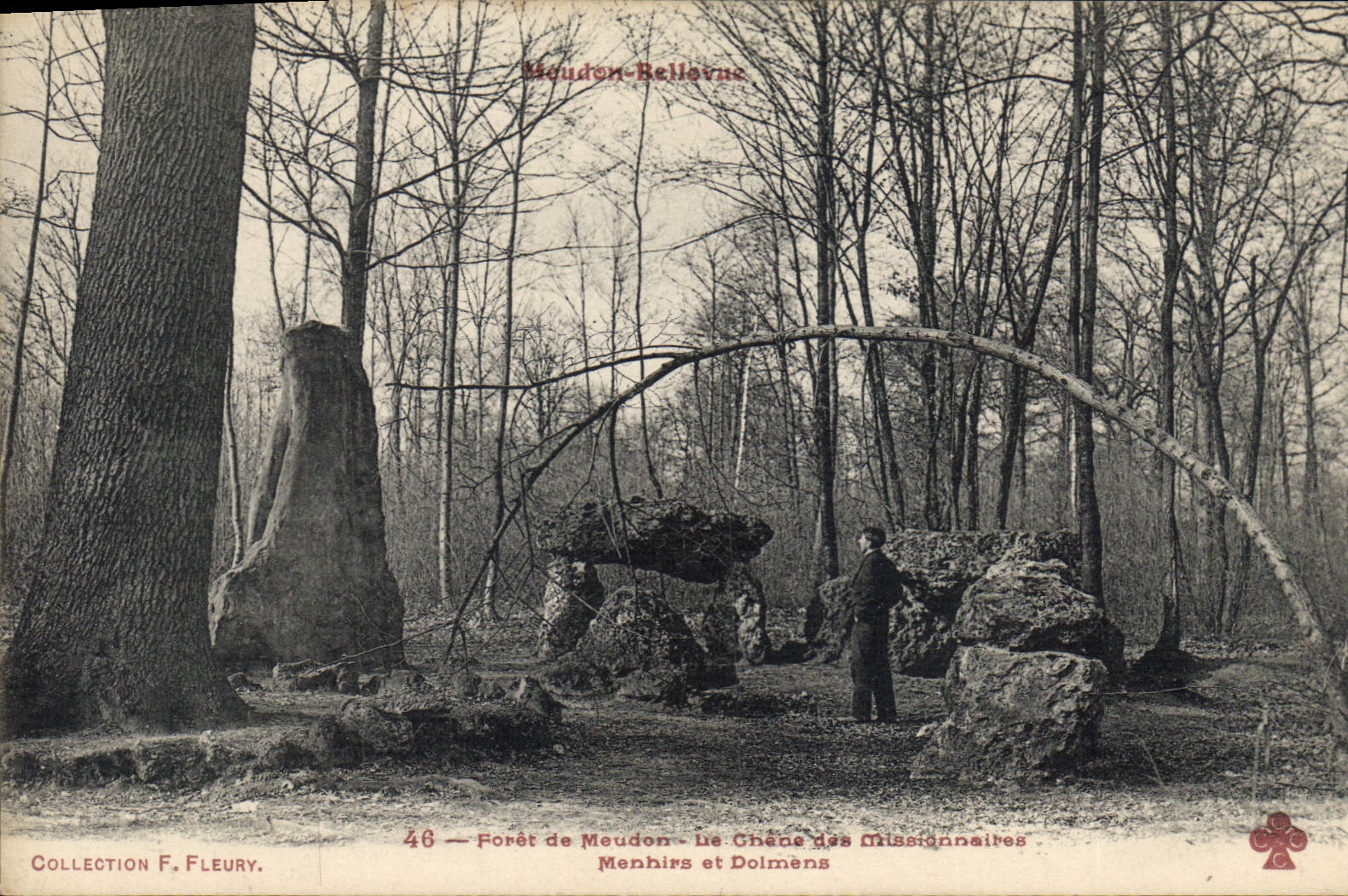 CPA Arbre Foret de Meudon Le chene des missionnaires Menhirs et dolmens