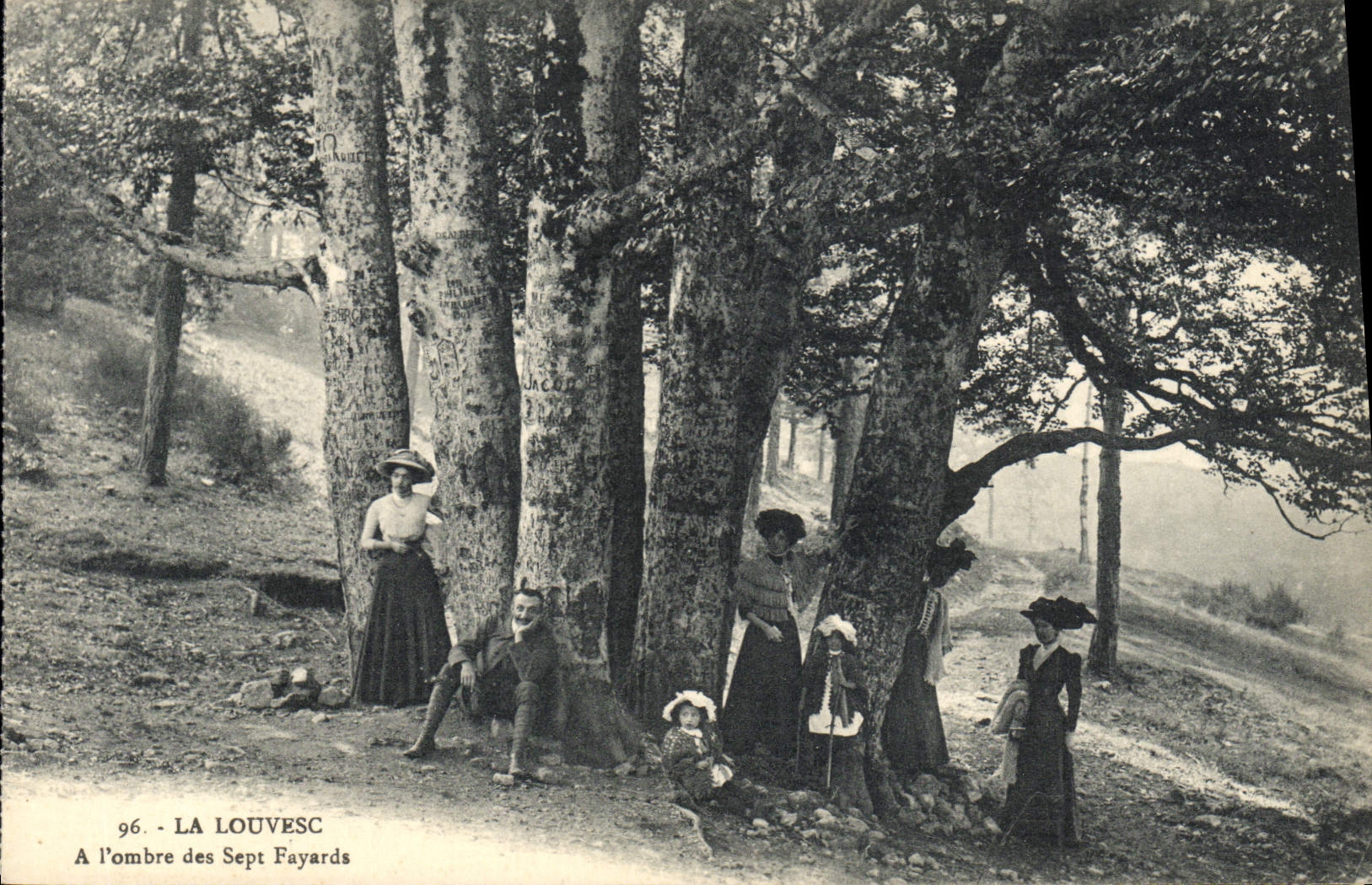 Vintage Postcard Tree Louvesc In the shade of Seven Beeches (animee)