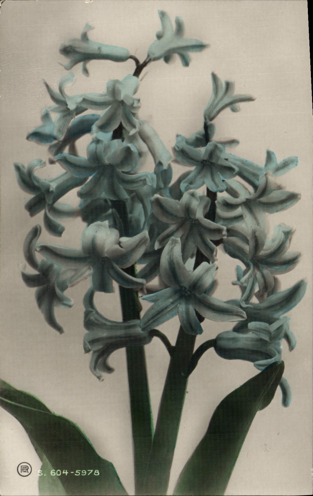 CPA Fantaisie Fleurs 