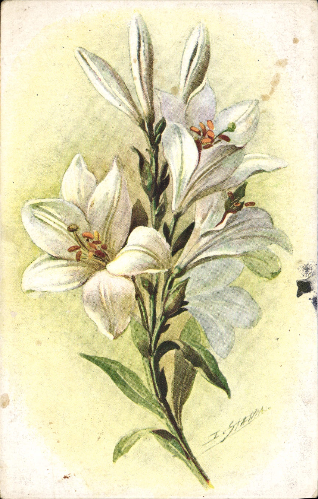 CPA Fantaisie Fleurs 