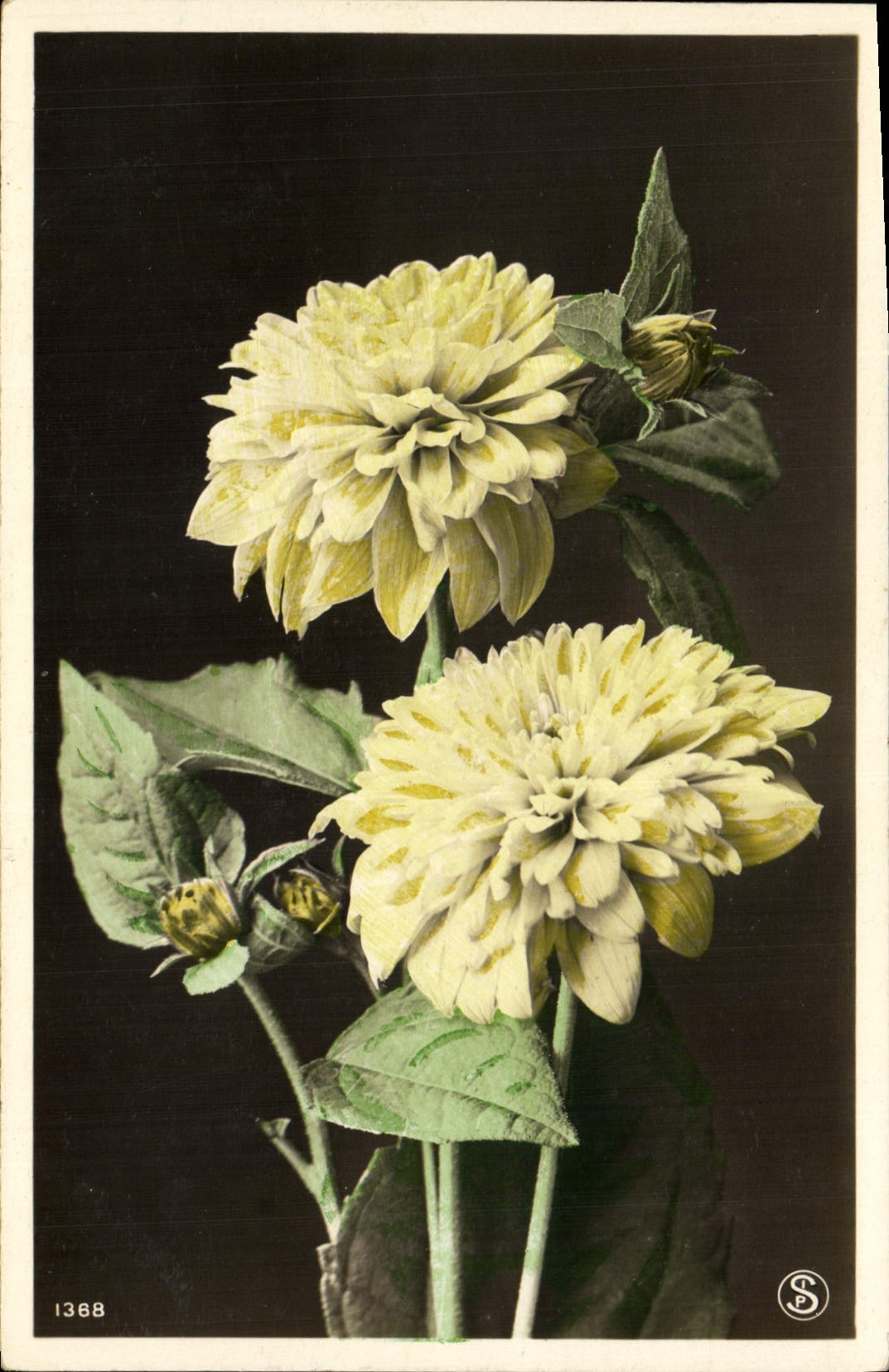 CPA Fantaisie Fleurs 