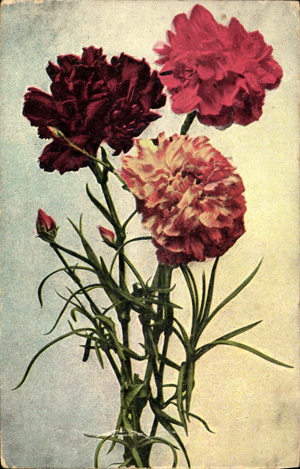 CPA Fantaisie Fleurs 