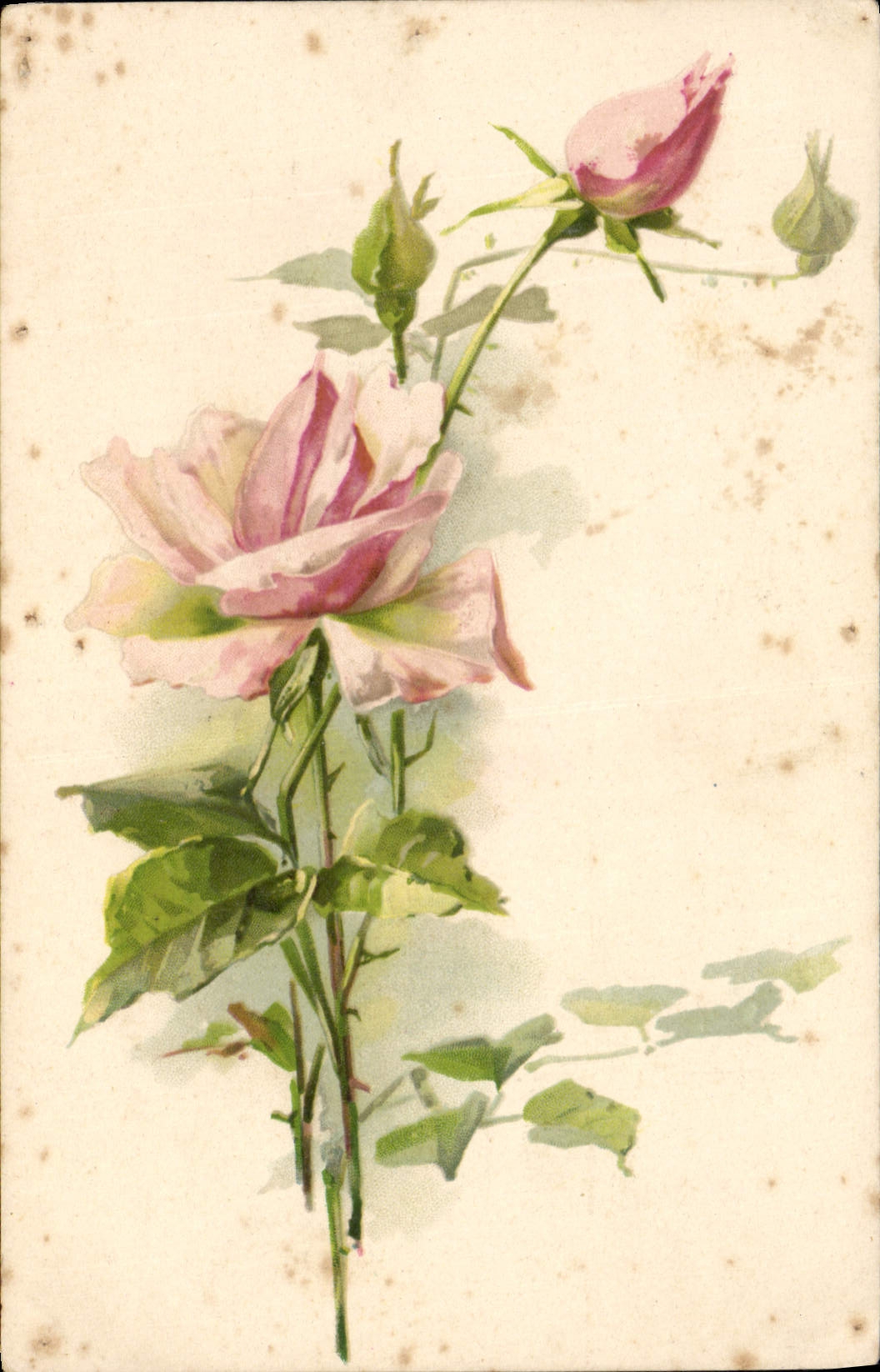 CPA Fantaisie Fleurs 