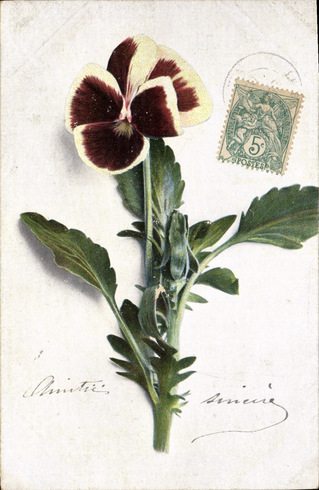 CPA Fantaisie Fleurs 