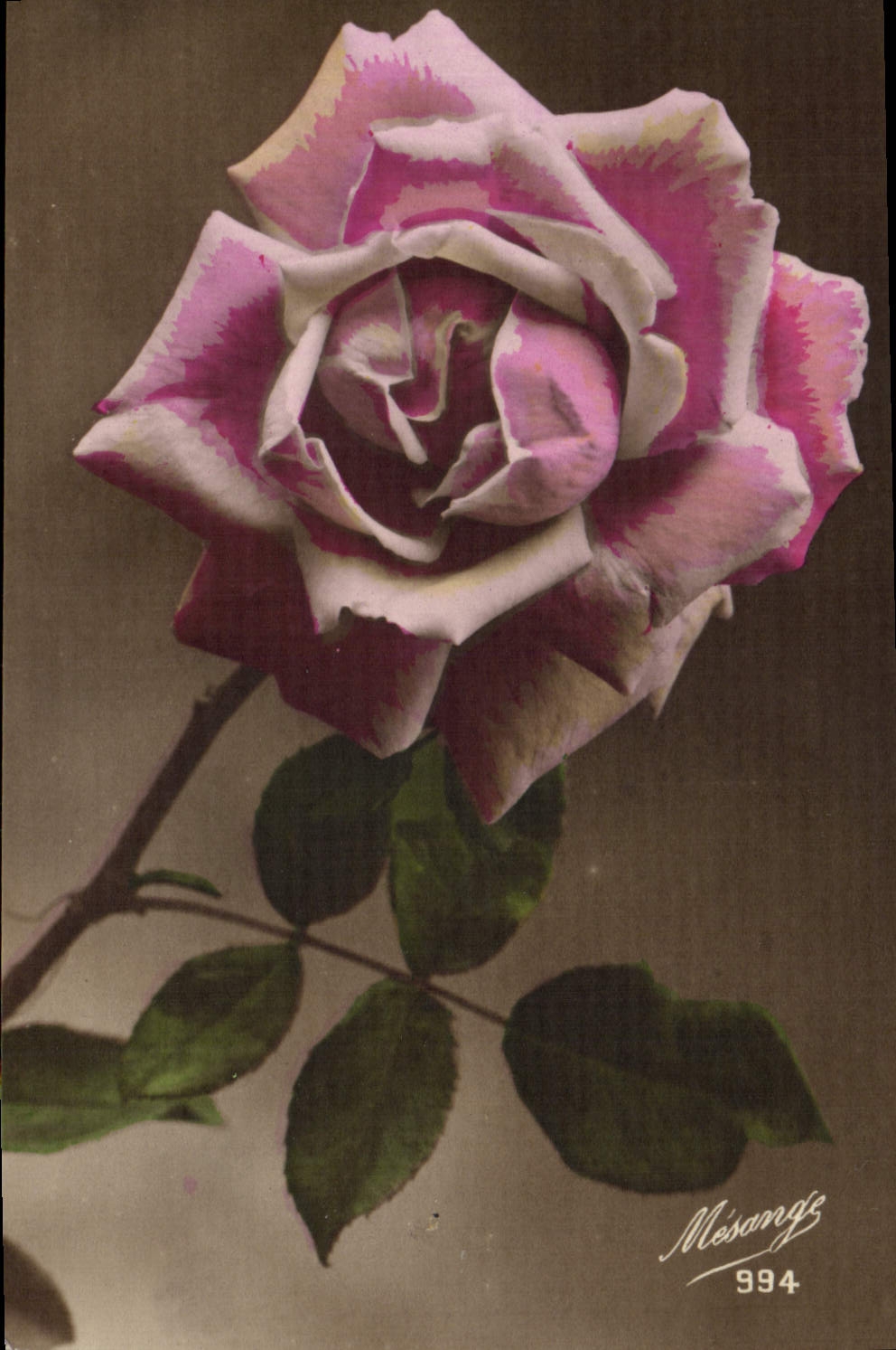 CPA Fantaisie Fleurs 