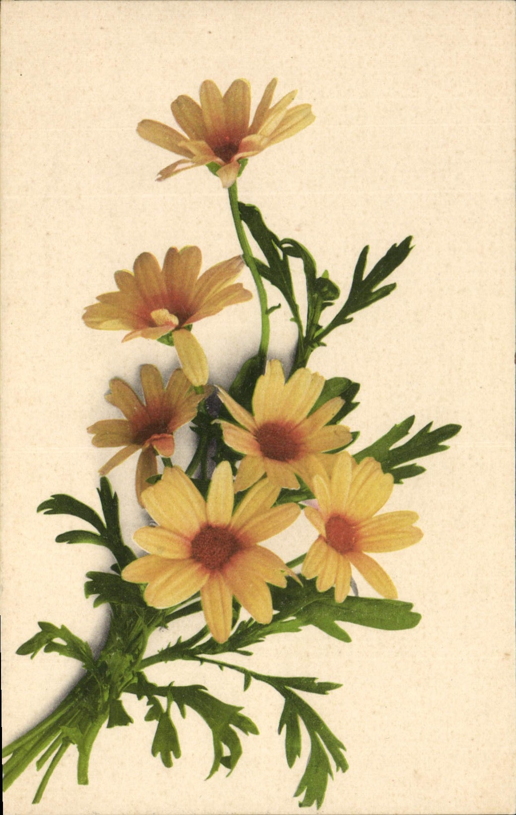 CPA Fantaisie Fleurs 