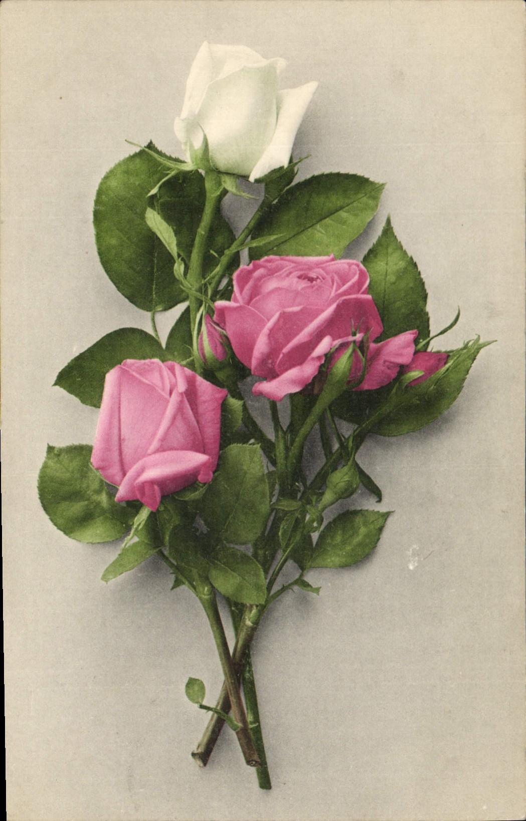 CPA Fantaisie Fleurs 