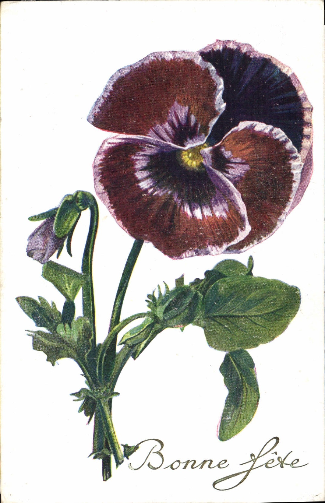 CPA Fantaisie Fleurs 