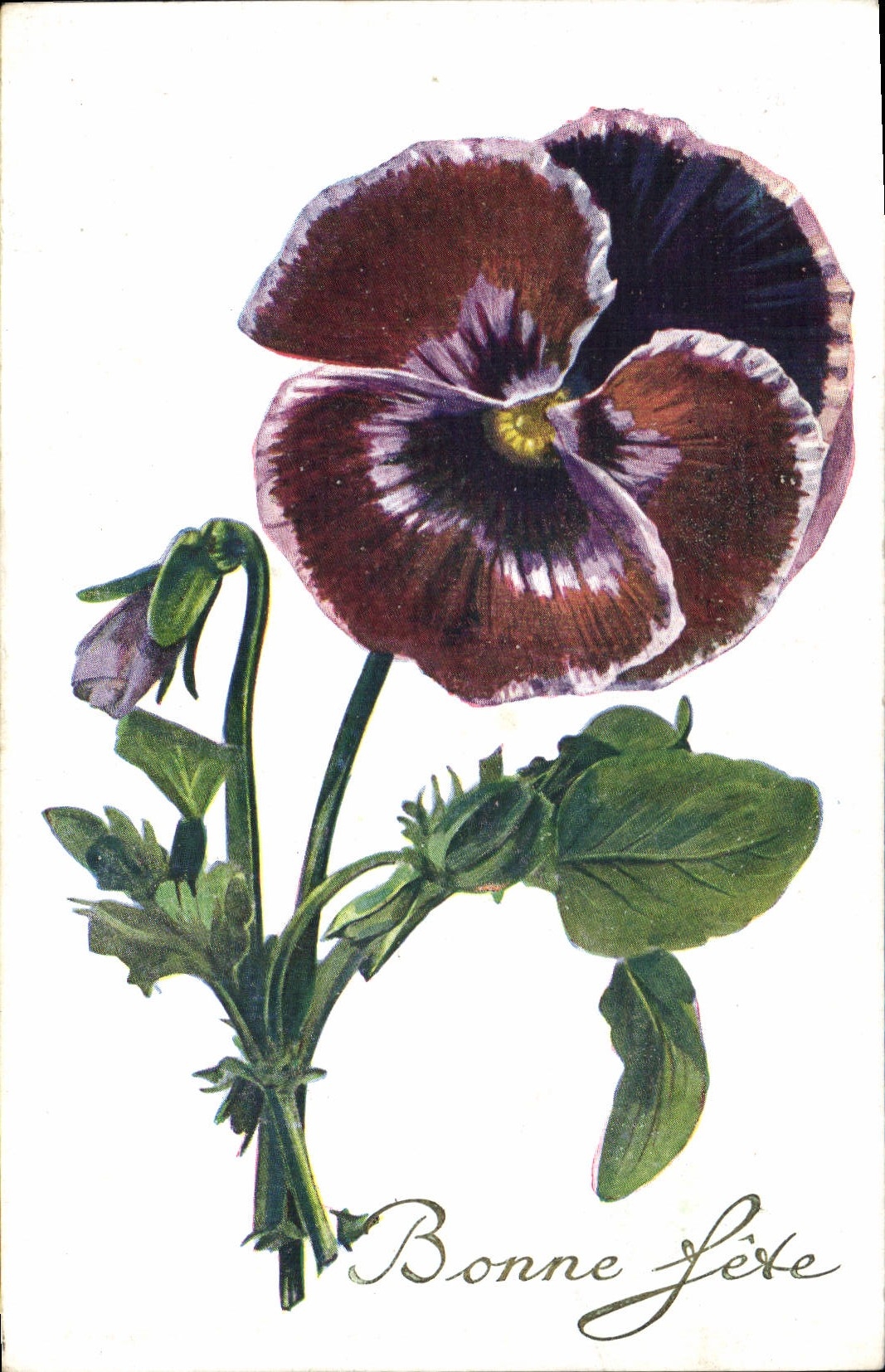 CPA Fantaisie Fleurs 