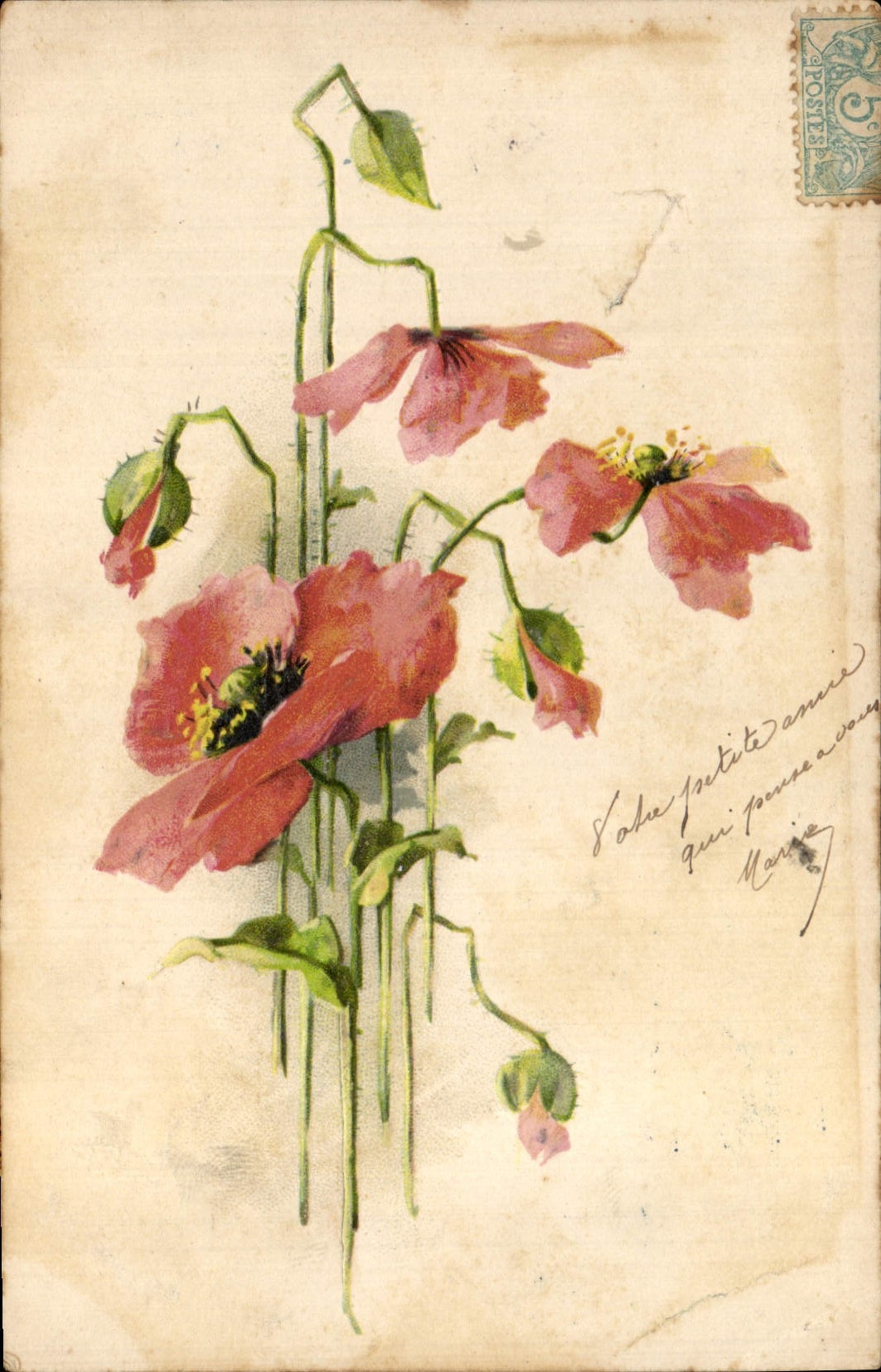 CPA Fantaisie Fleurs 