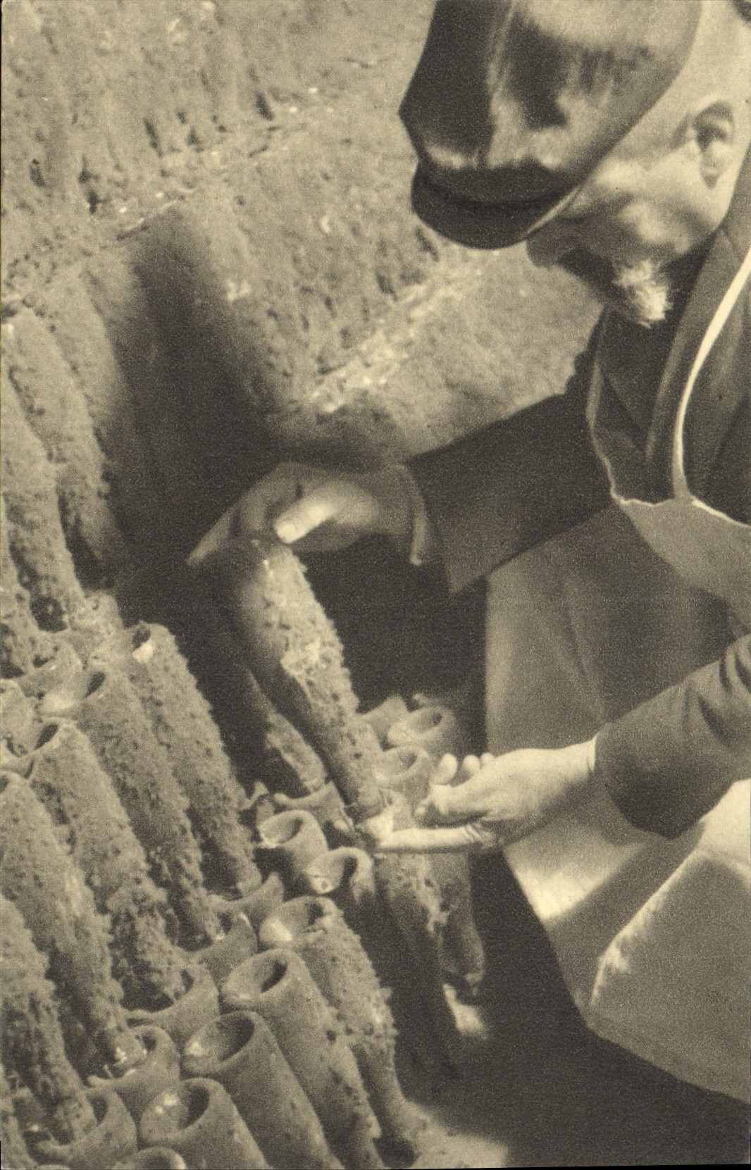 CPA Folklore Vin Vendange Champagne Perrier Jouet Epernay Venerables bouteilles