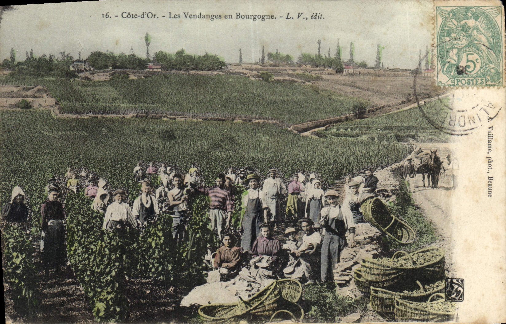 CPA Folklore Vin Vendange Champagne Cote d'Or Les vendanges en Bourgogne TOP