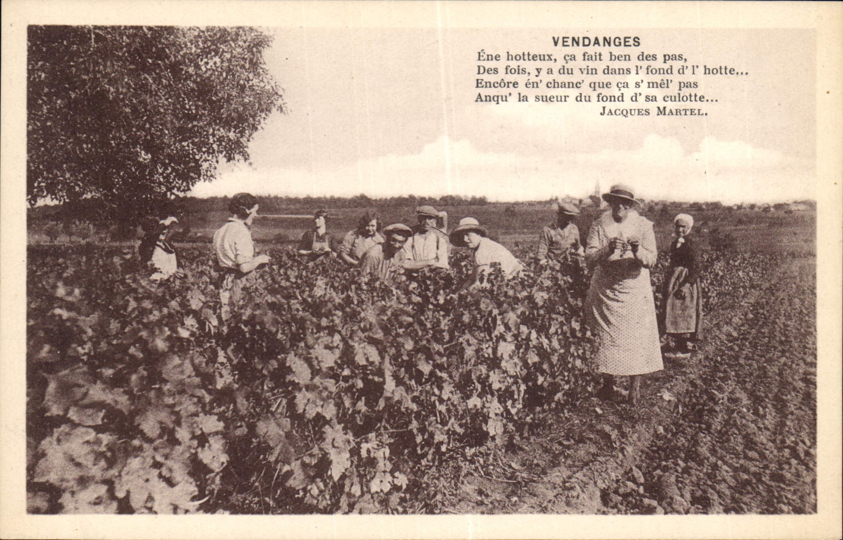 CPA Folklore Vin Vendange Champagne 