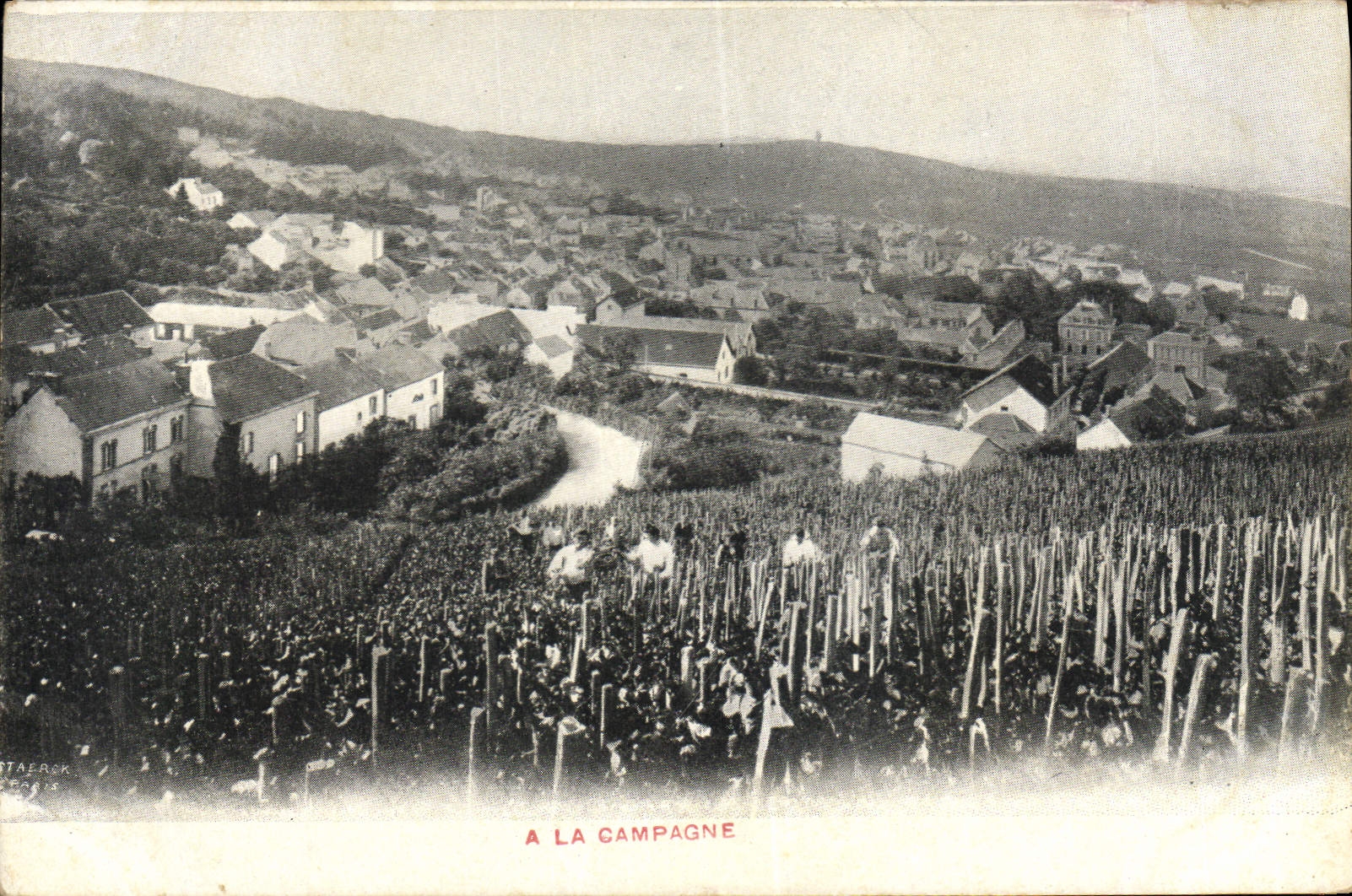 CPA Folklore Vin Vendange Champagne A la campagne