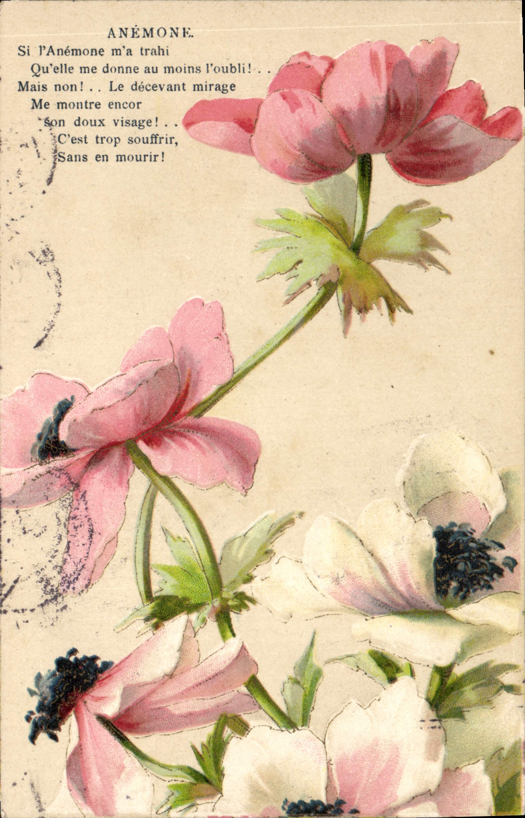 CPA Fantaisie Fleurs Anemone 
