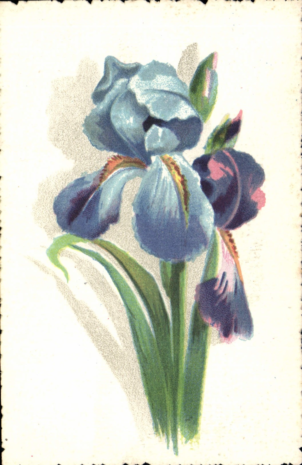 CPA Fantaisie Fleurs 