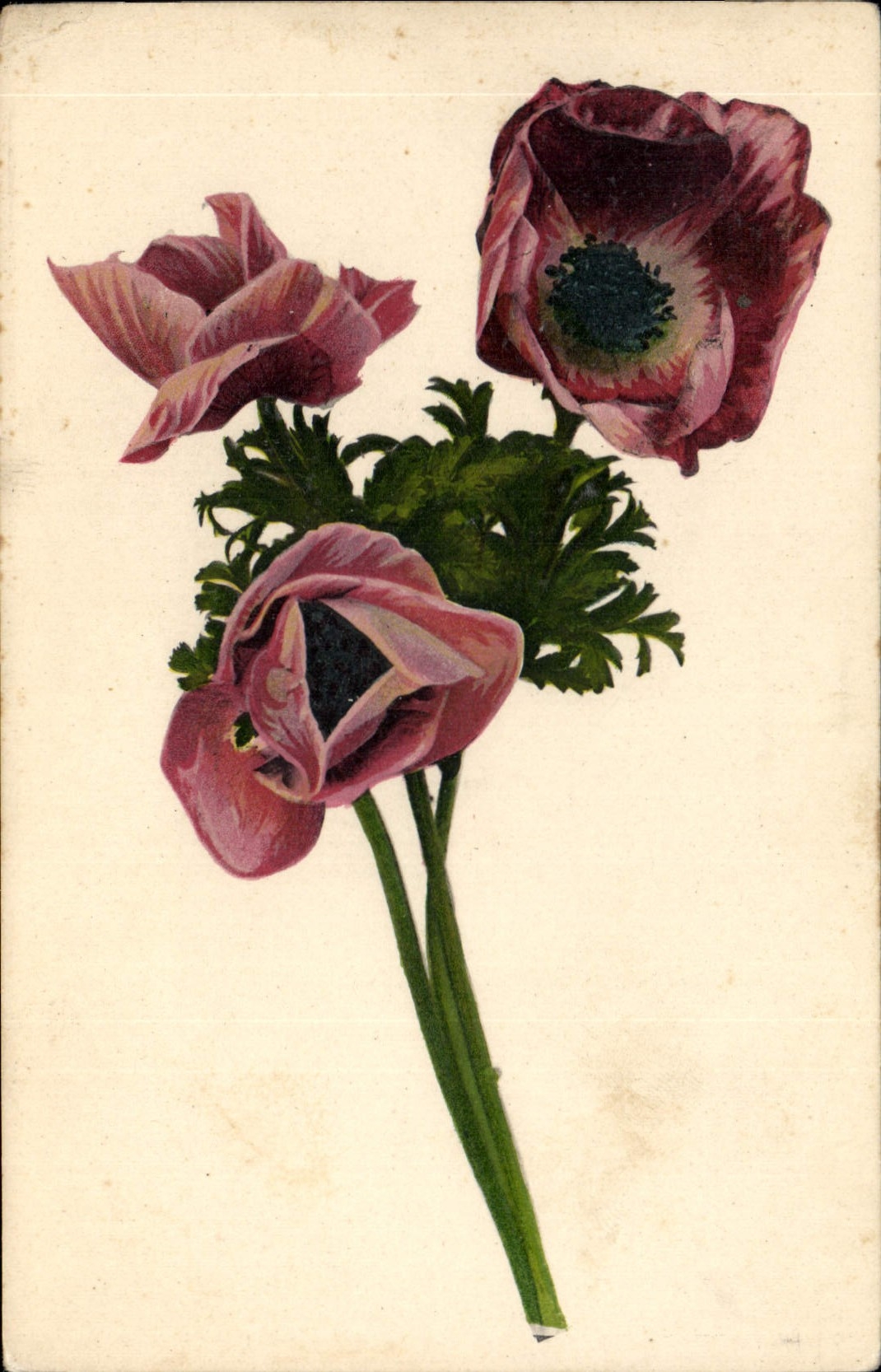 CPA Fantaisie Fleurs 