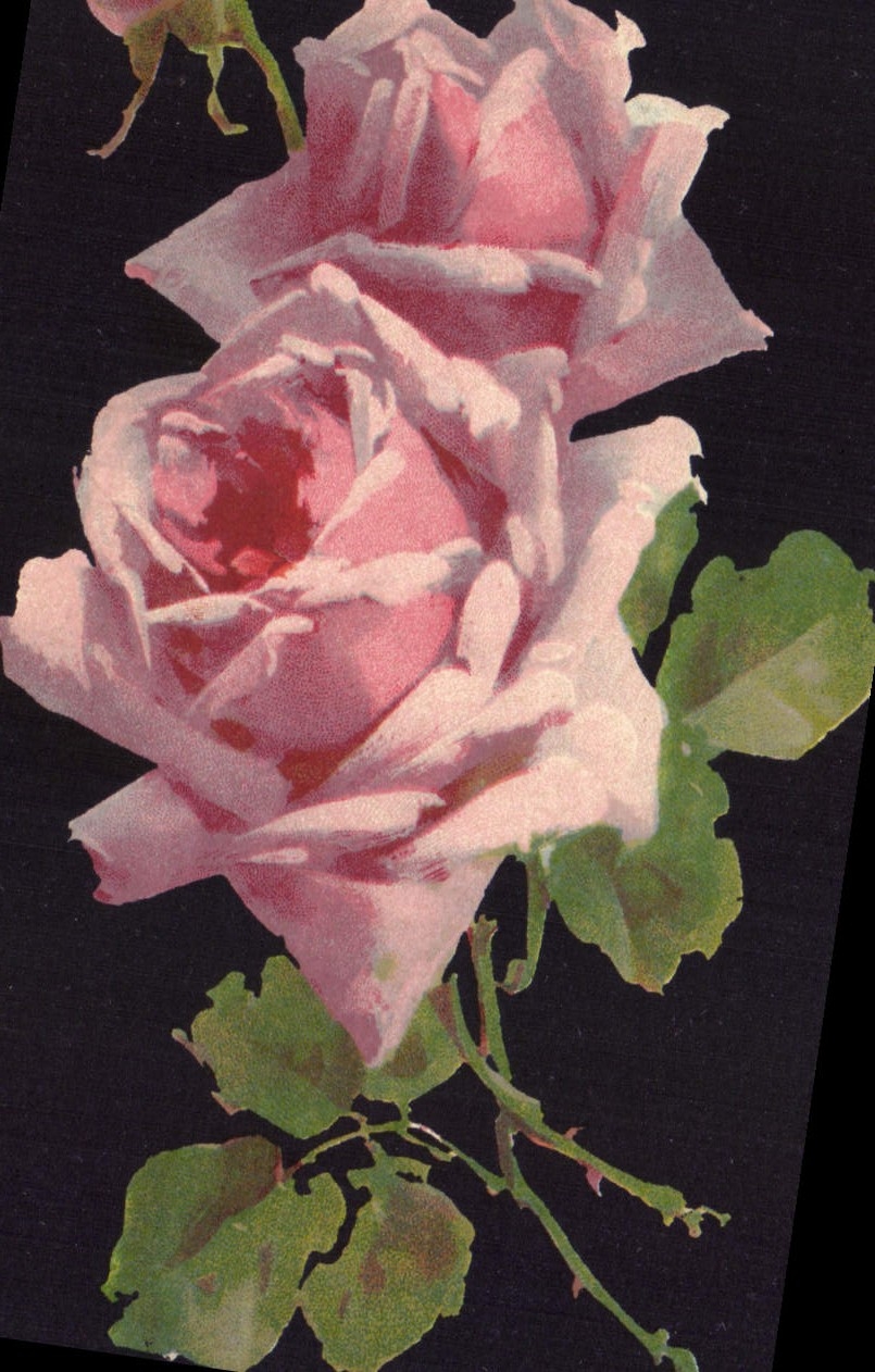 CPA Fantaisie Fleurs 