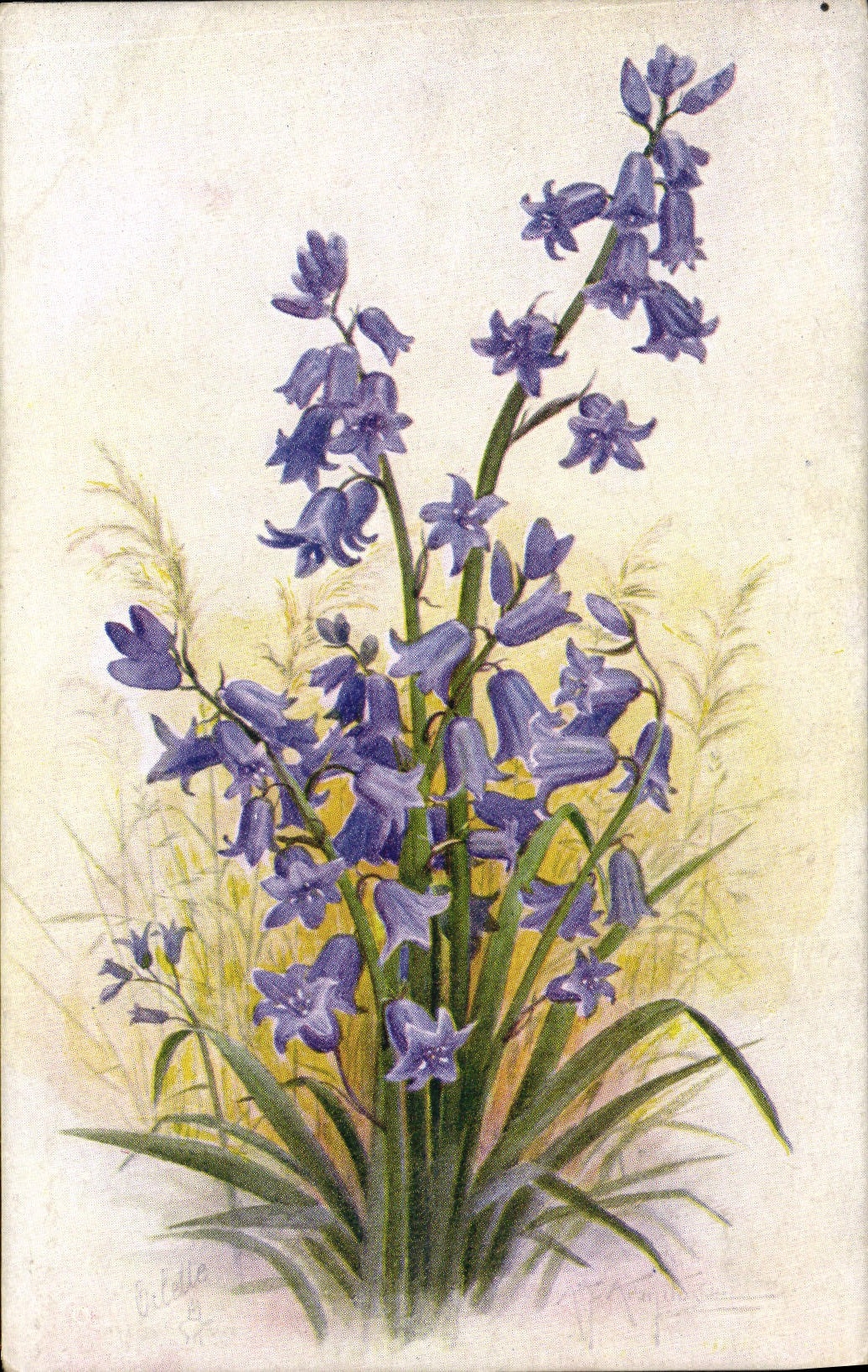 CPA Fantaisie Fleurs 