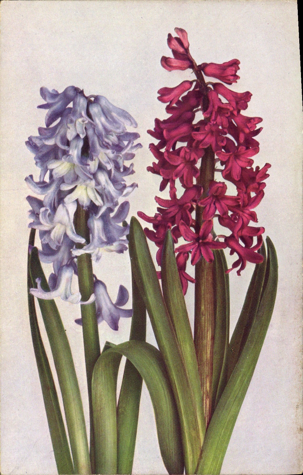 CPA Fantaisie Fleurs 