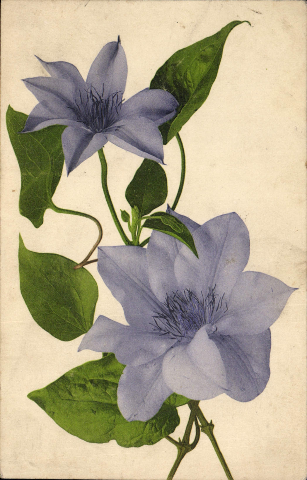 CPA Fantaisie Fleurs 