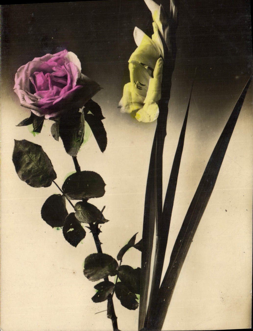 CPA Fantaisie Fleurs 