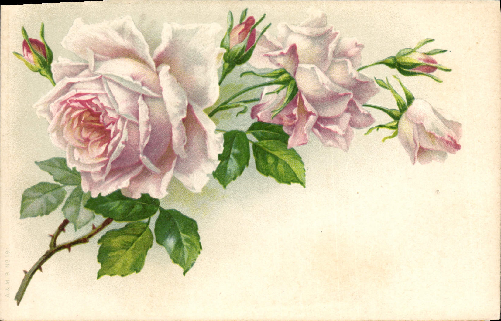 CPA Fantaisie Fleurs 