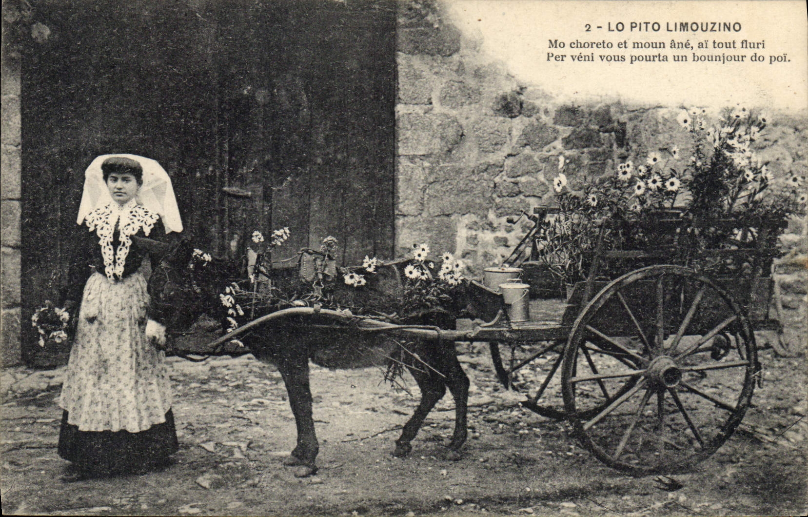 Vintage Postcard Folklore Lo Pito Limouzin Donkey Mule Woman SIGNAL