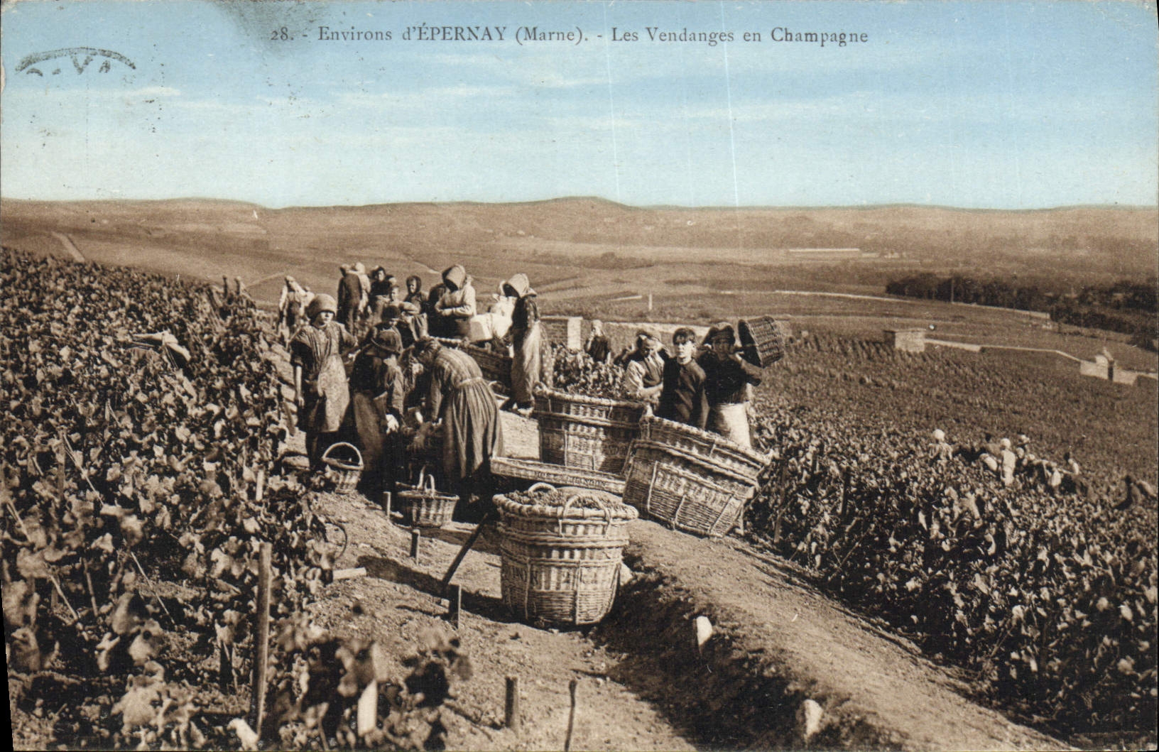 Vintage Postcard Folklore Vine Wine Grape harvest Champagne Surroundings of Epernay