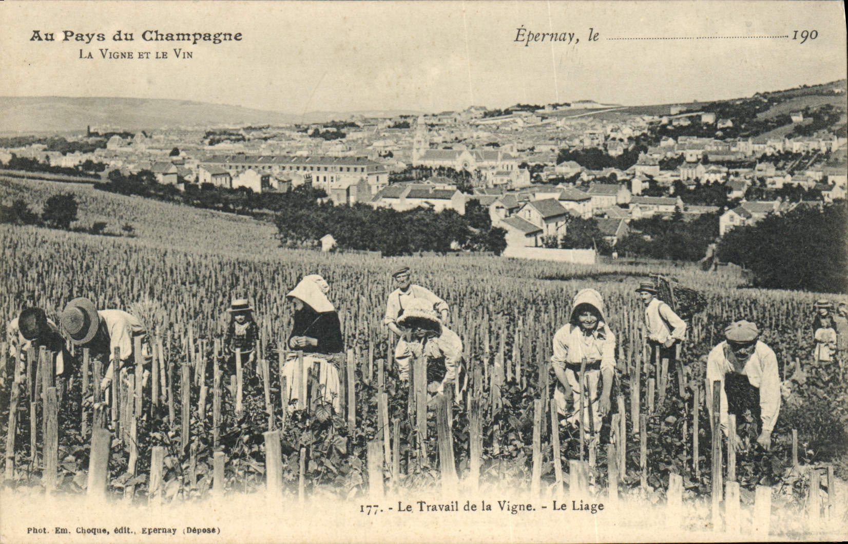 Postal Folclore Vid Vino Vendimias Champaña Epernay el trabajo de la vid la Ligadura