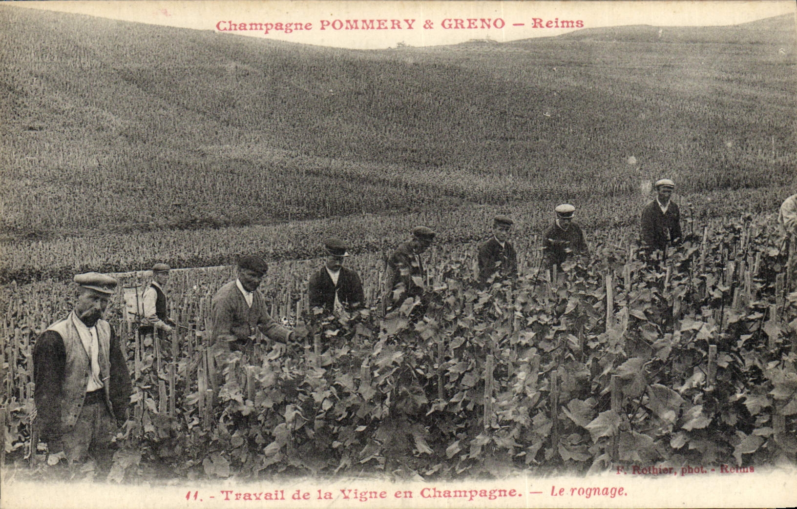 Postal Folclore Vid Vino Vendimias Champaña Pommery y Greno Reims Trabajo de la vid el recorte