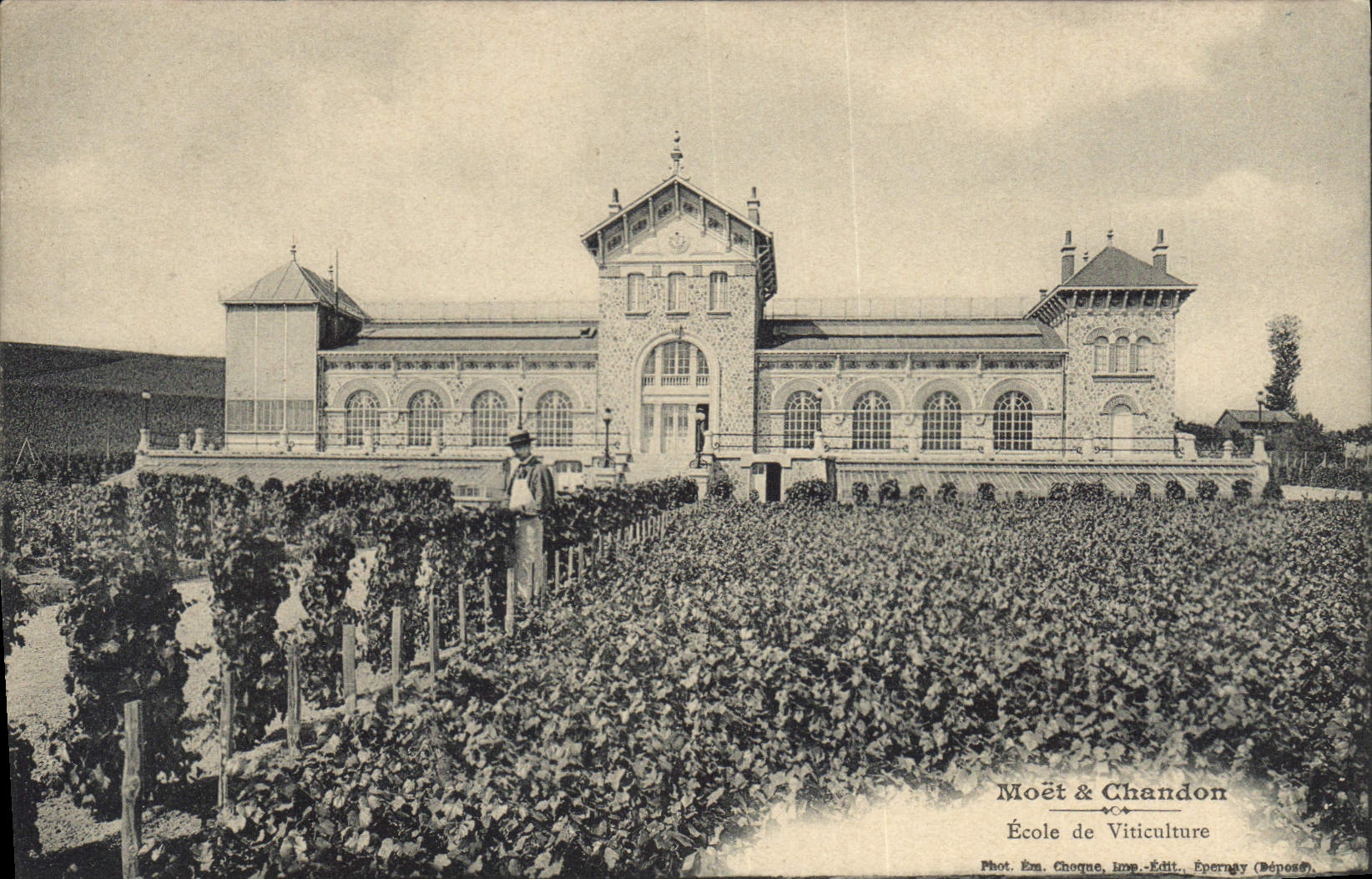 Postal Folclore Vid Vino Vendimias Champaña Moet & Chandon Escuela de viticultura