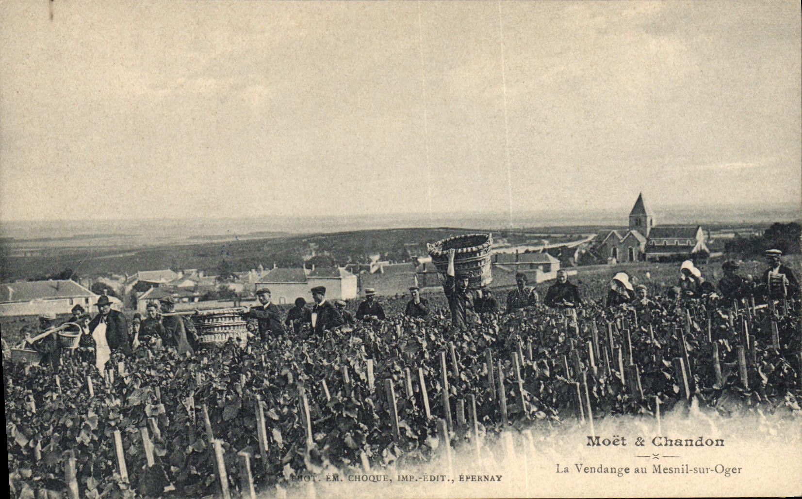 CPA Folklore Vigne Vin Vendanges Champagne Moet & Chandon La vendange a Mesnil sur Oger