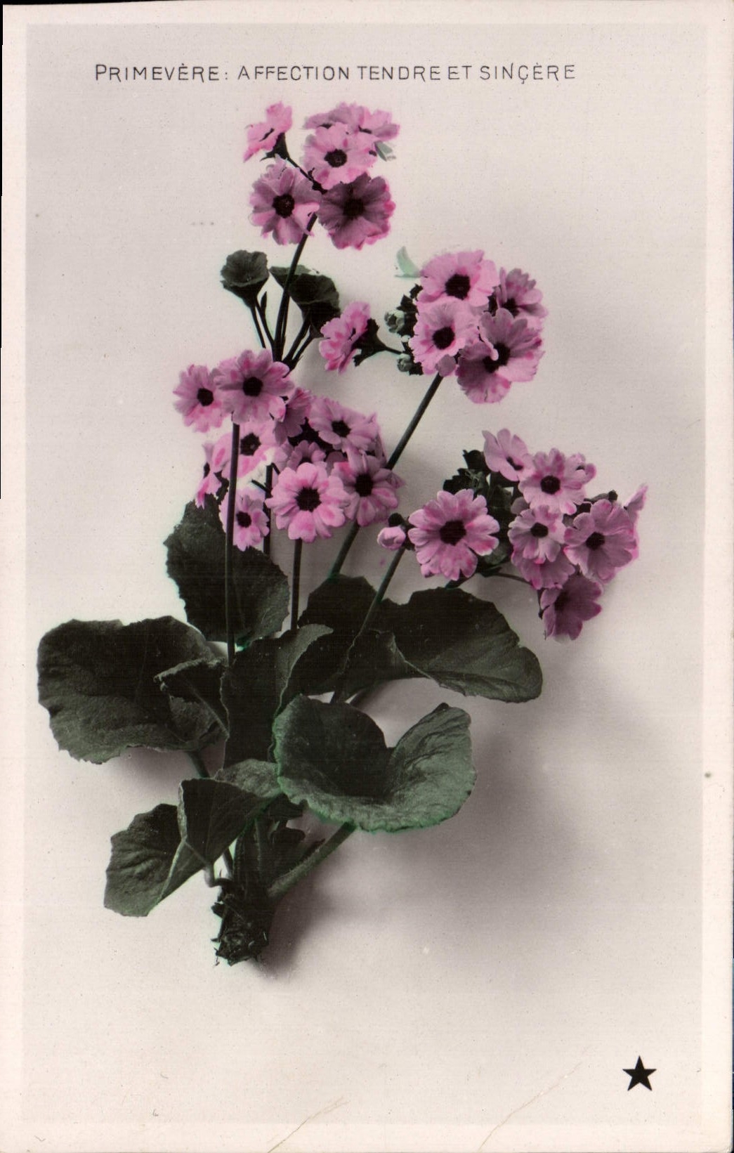 CPA Fantaisie Fleurs 