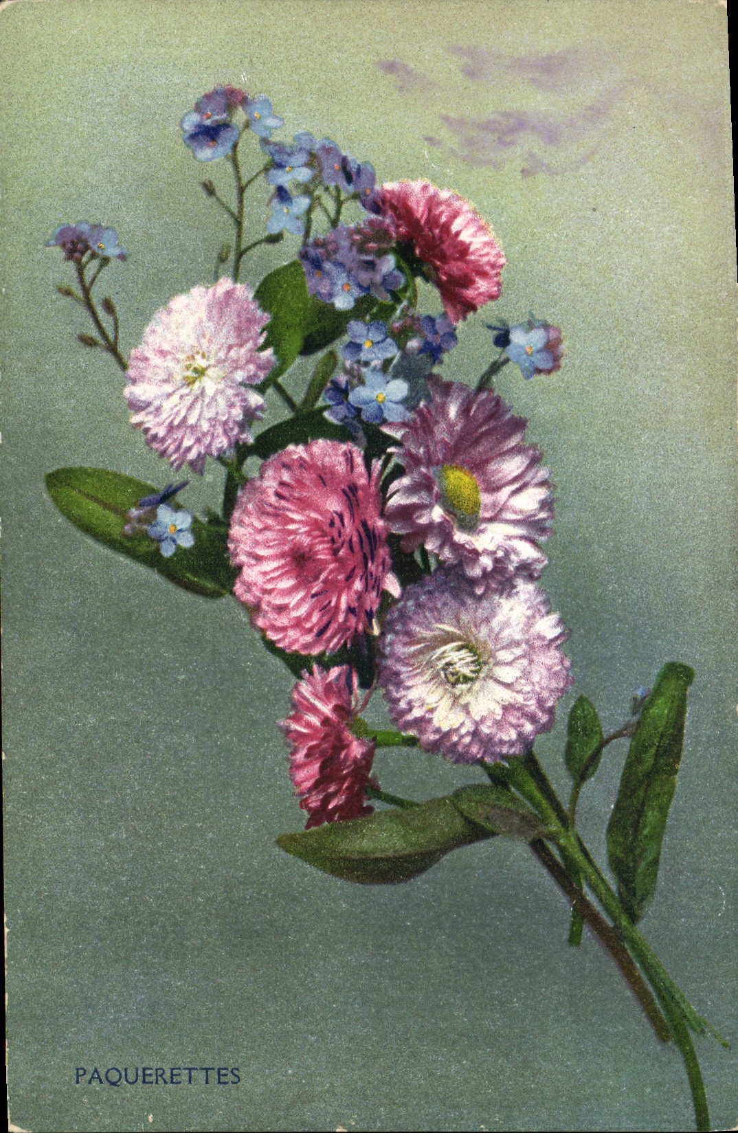 CPA Fantaisie Fleurs Paquerettes