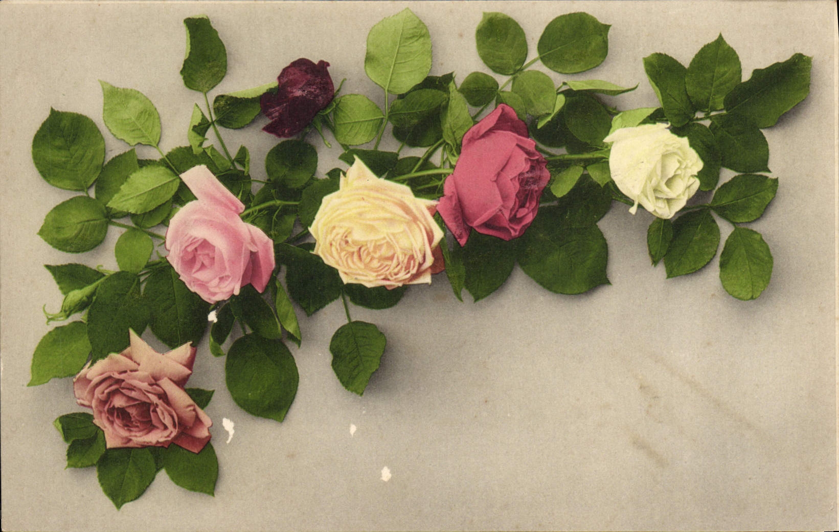 CPA Fantaisie Fleurs 