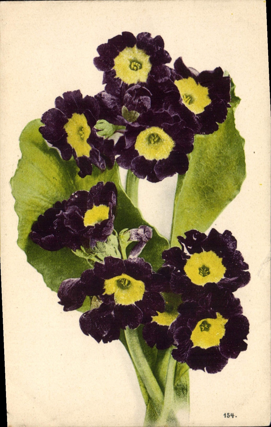 CPA Fantaisie Fleurs 