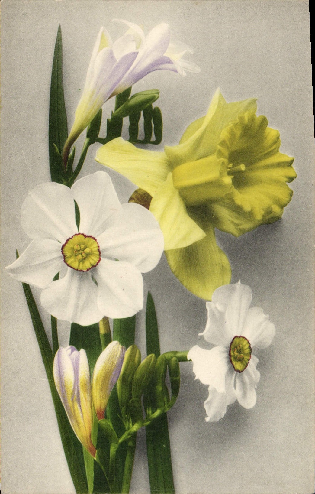 CPA Fantaisie Fleurs 