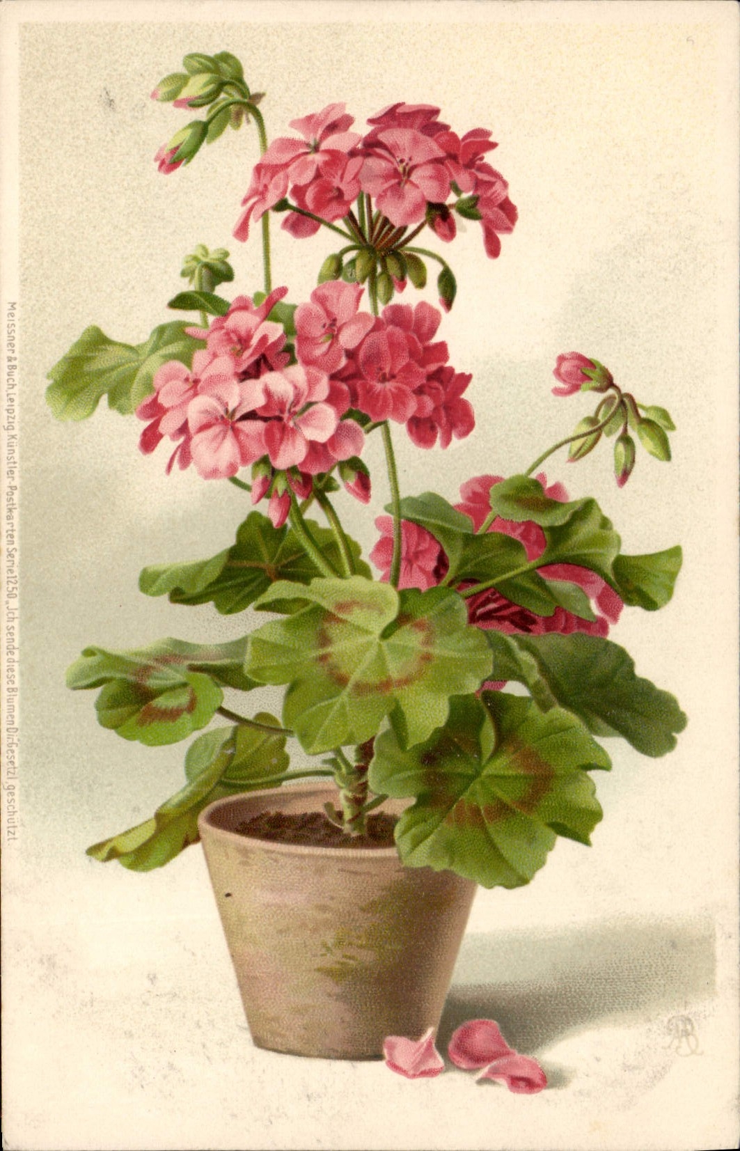 CPA Fantaisie Fleurs 