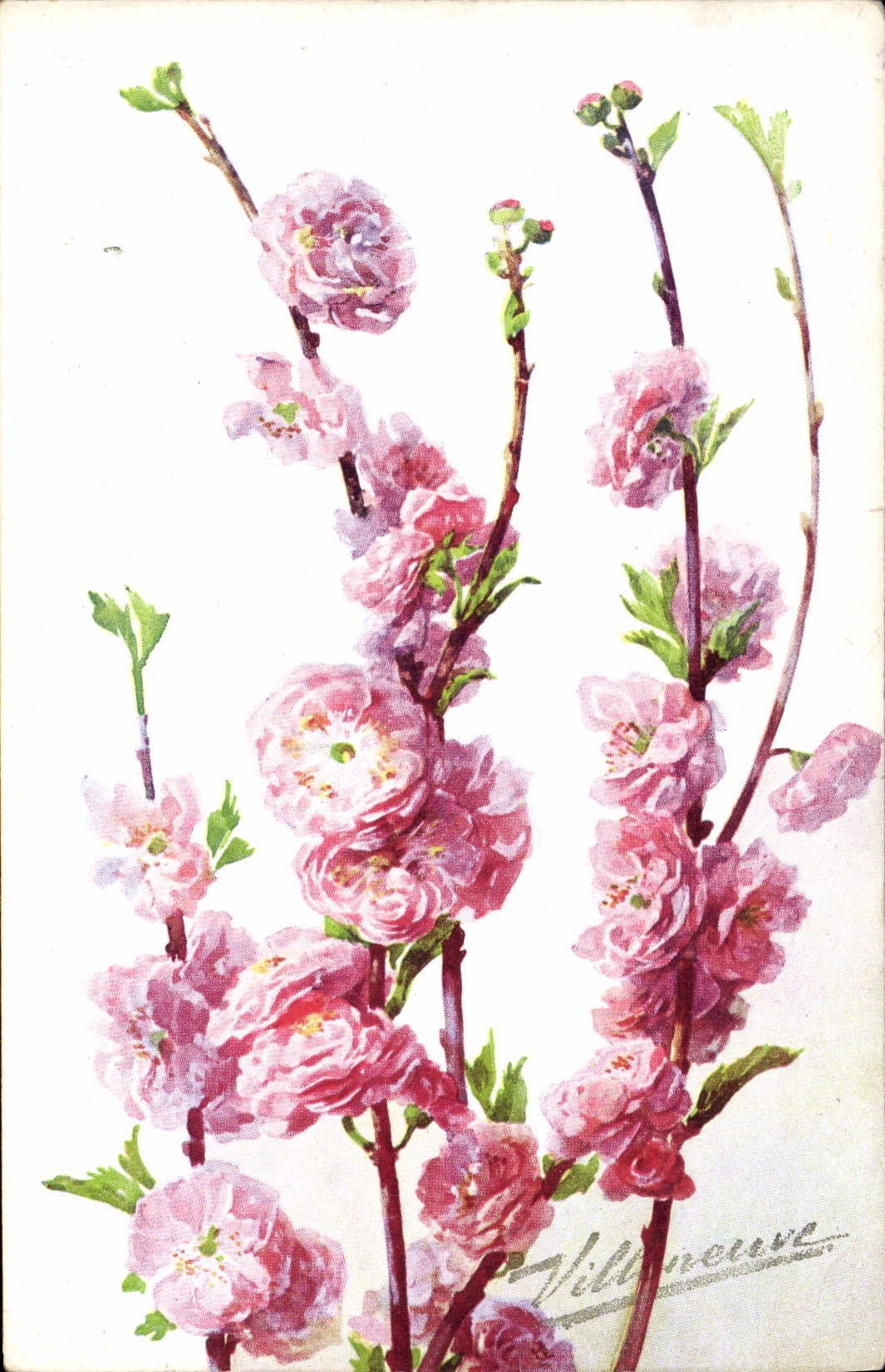 CPA Fantaisie Fleurs 