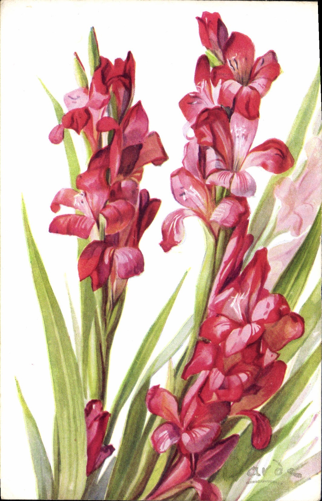 CPA Fantaisie Fleurs 