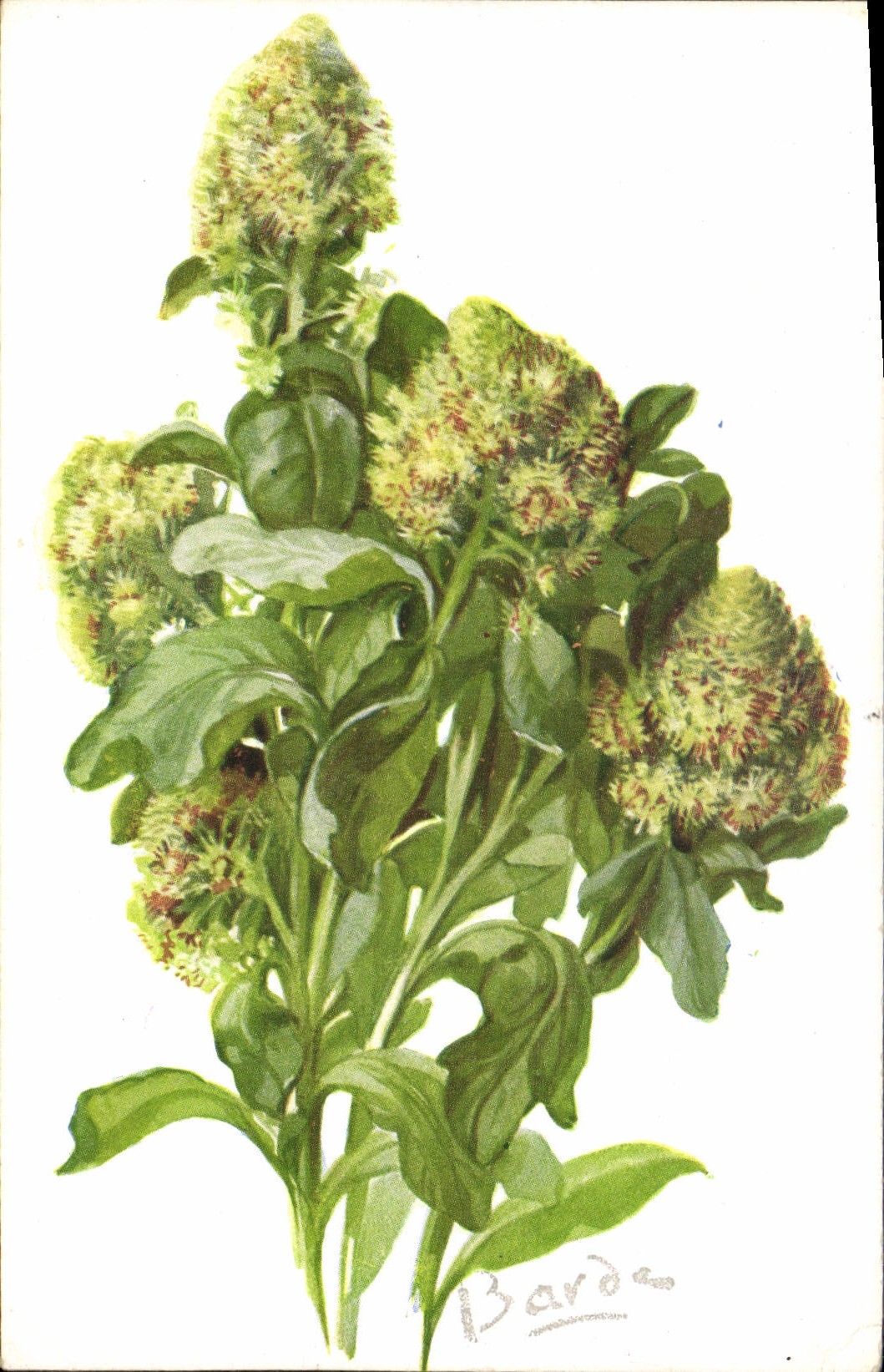 CPA Fantaisie Fleurs 