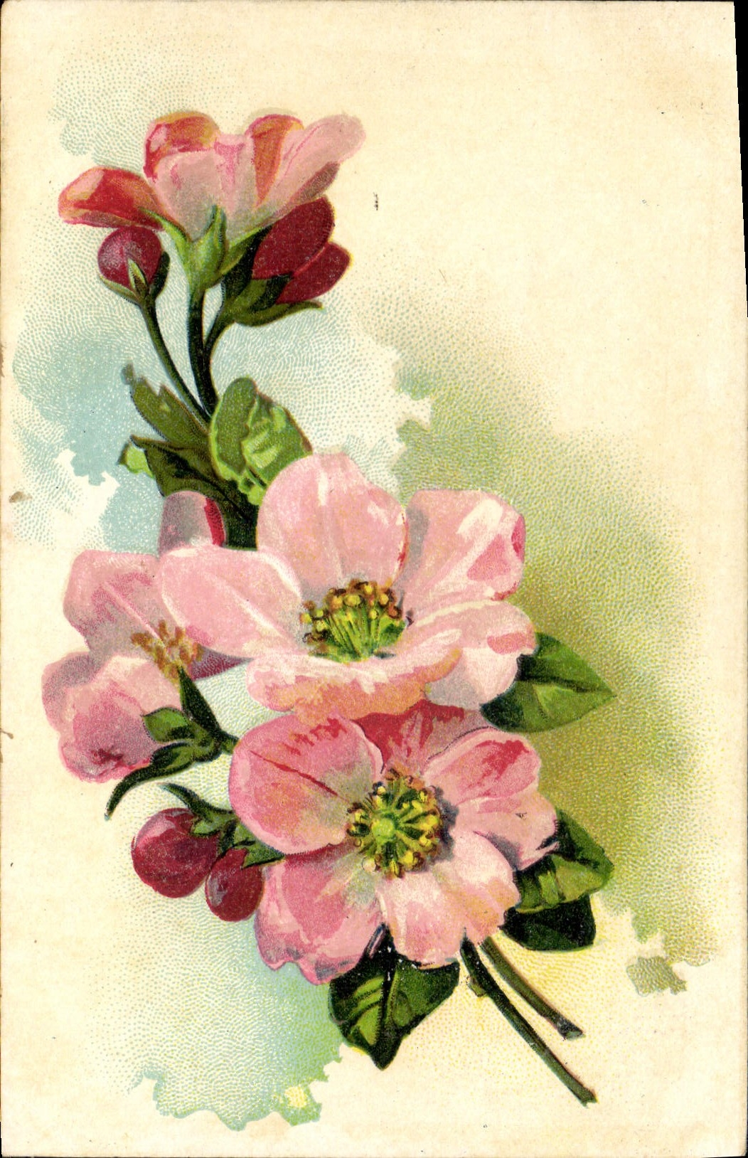 CPA Fantaisie Fleurs 