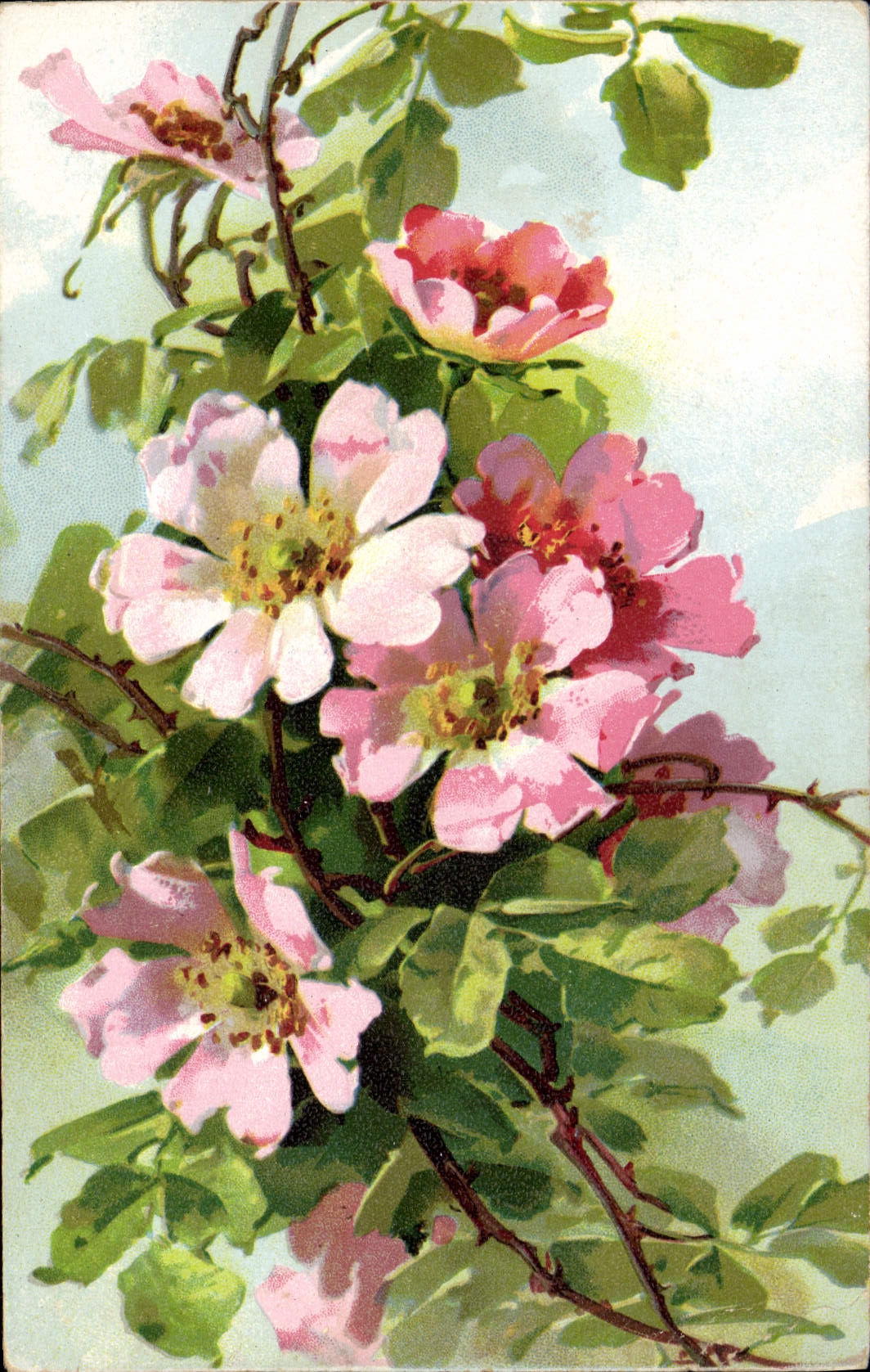 CPA Fantaisie Fleurs 