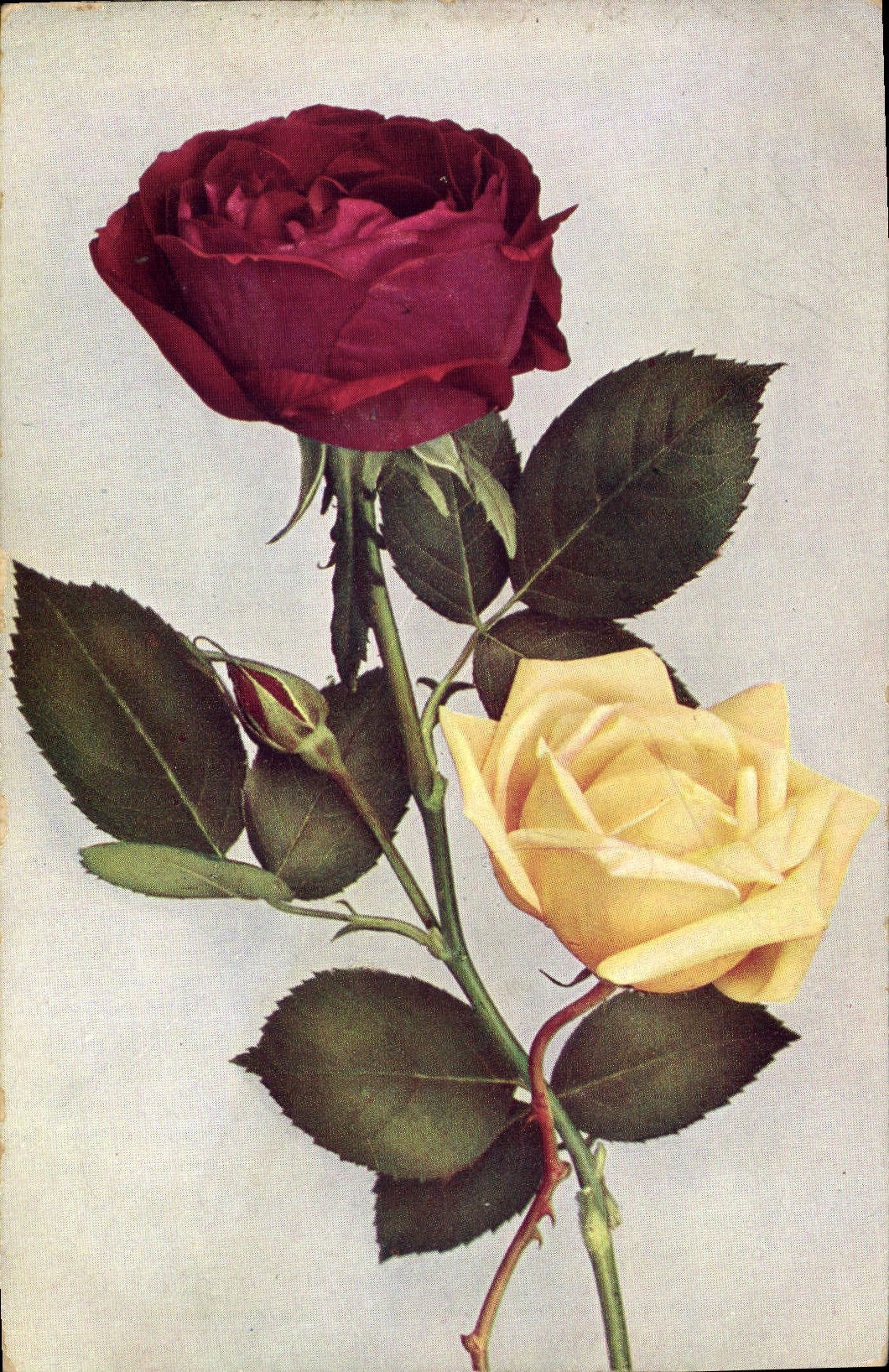 CPA Fantaisie Fleurs 