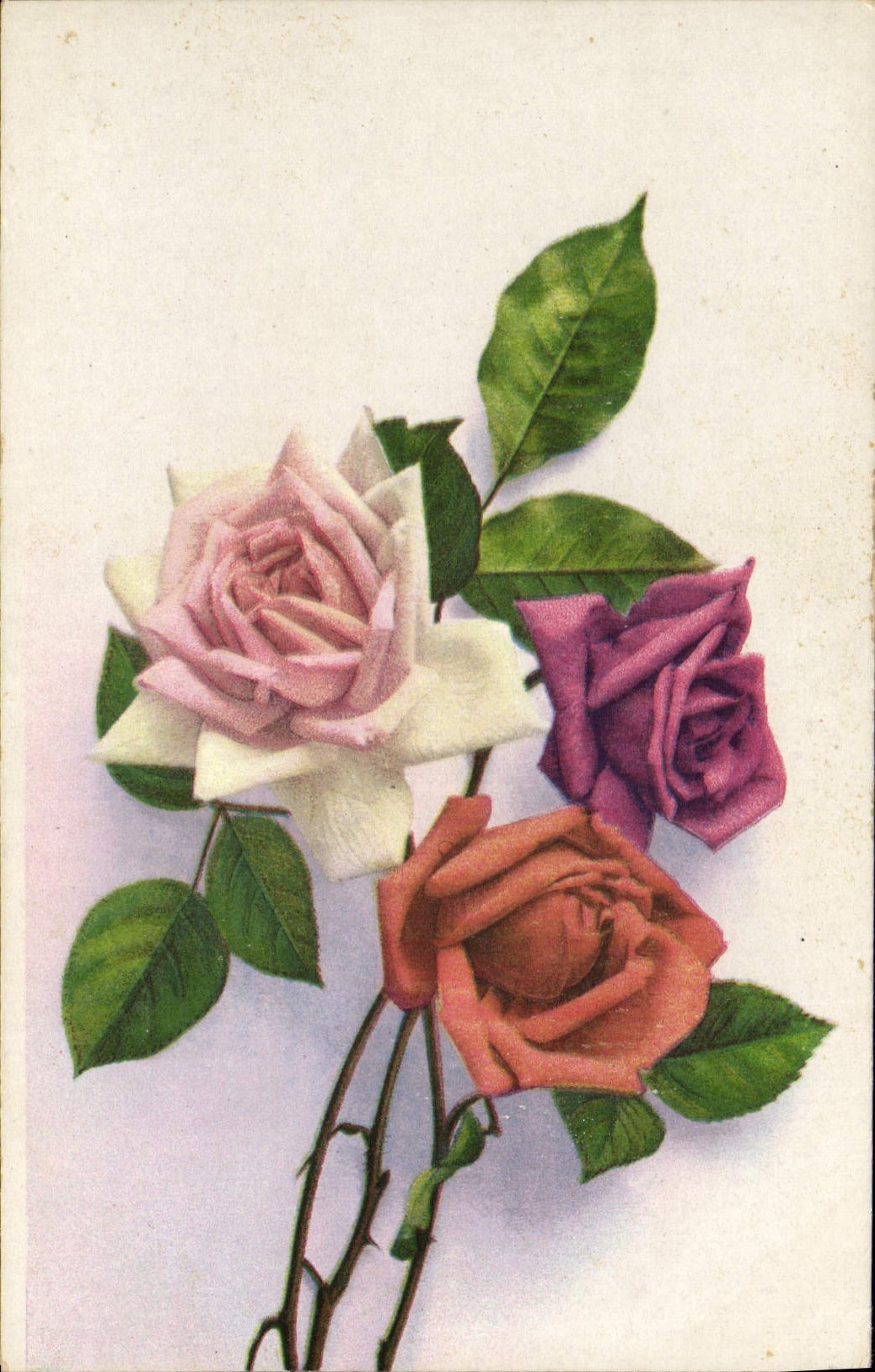 CPA Fantaisie Fleurs 