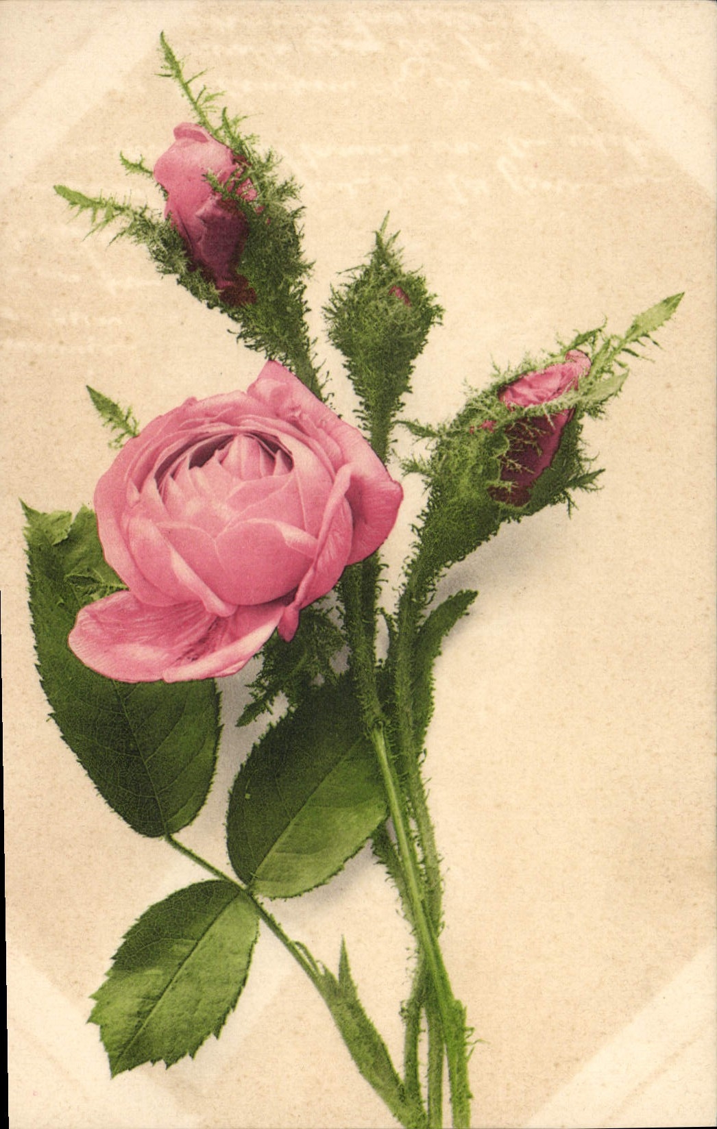 CPA Fantaisie Fleurs 