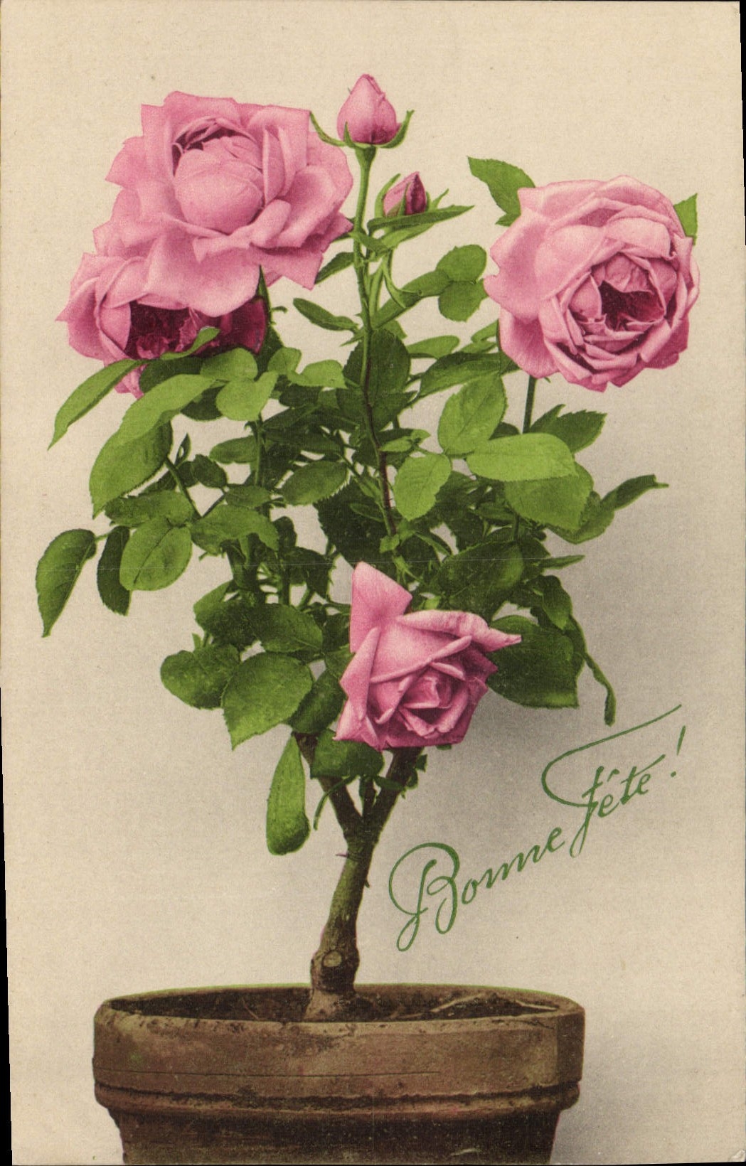 CPA Fantaisie Fleurs 