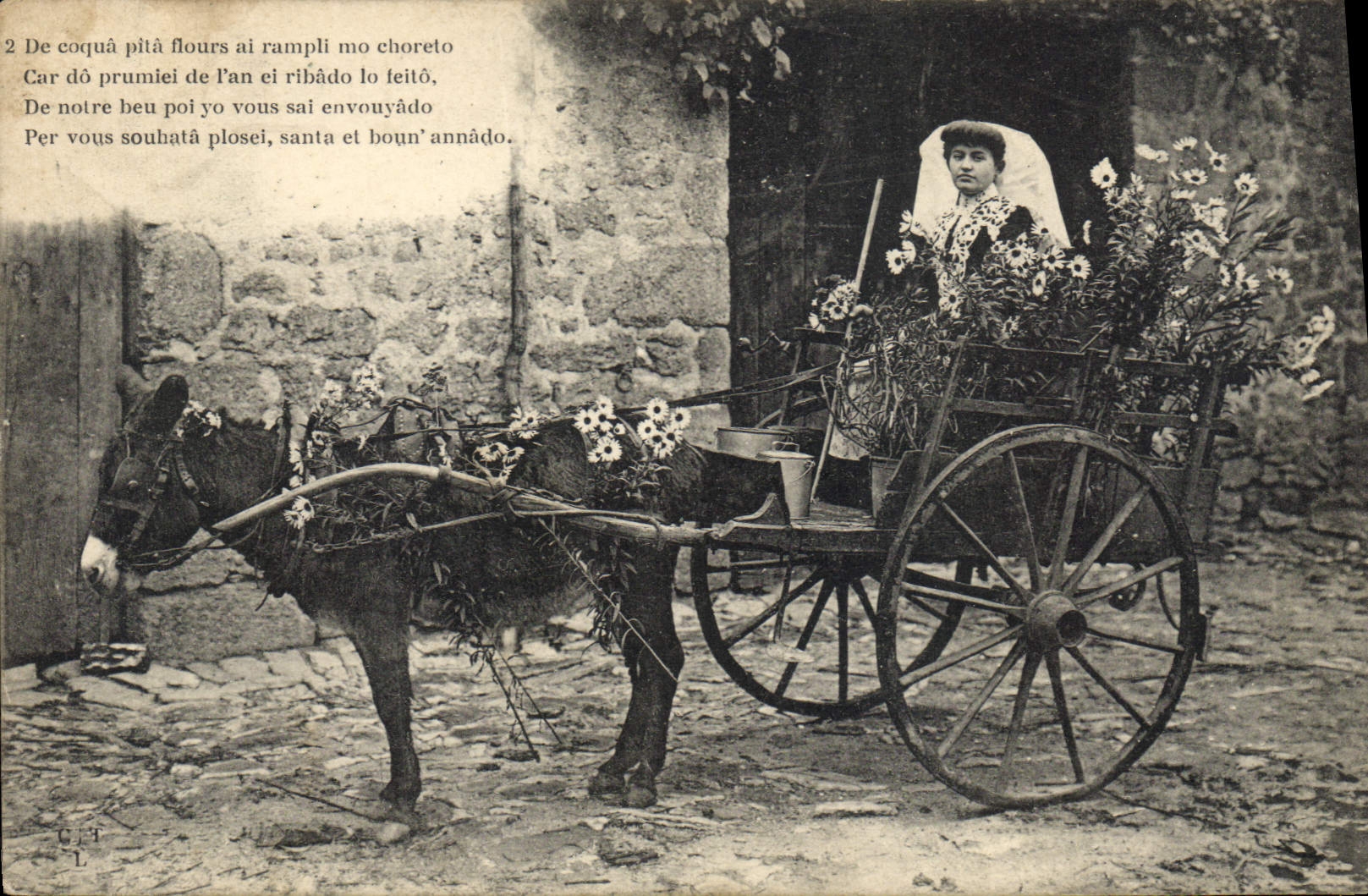 Vintage Postcard Folklore Donkey Mule SIGNAL