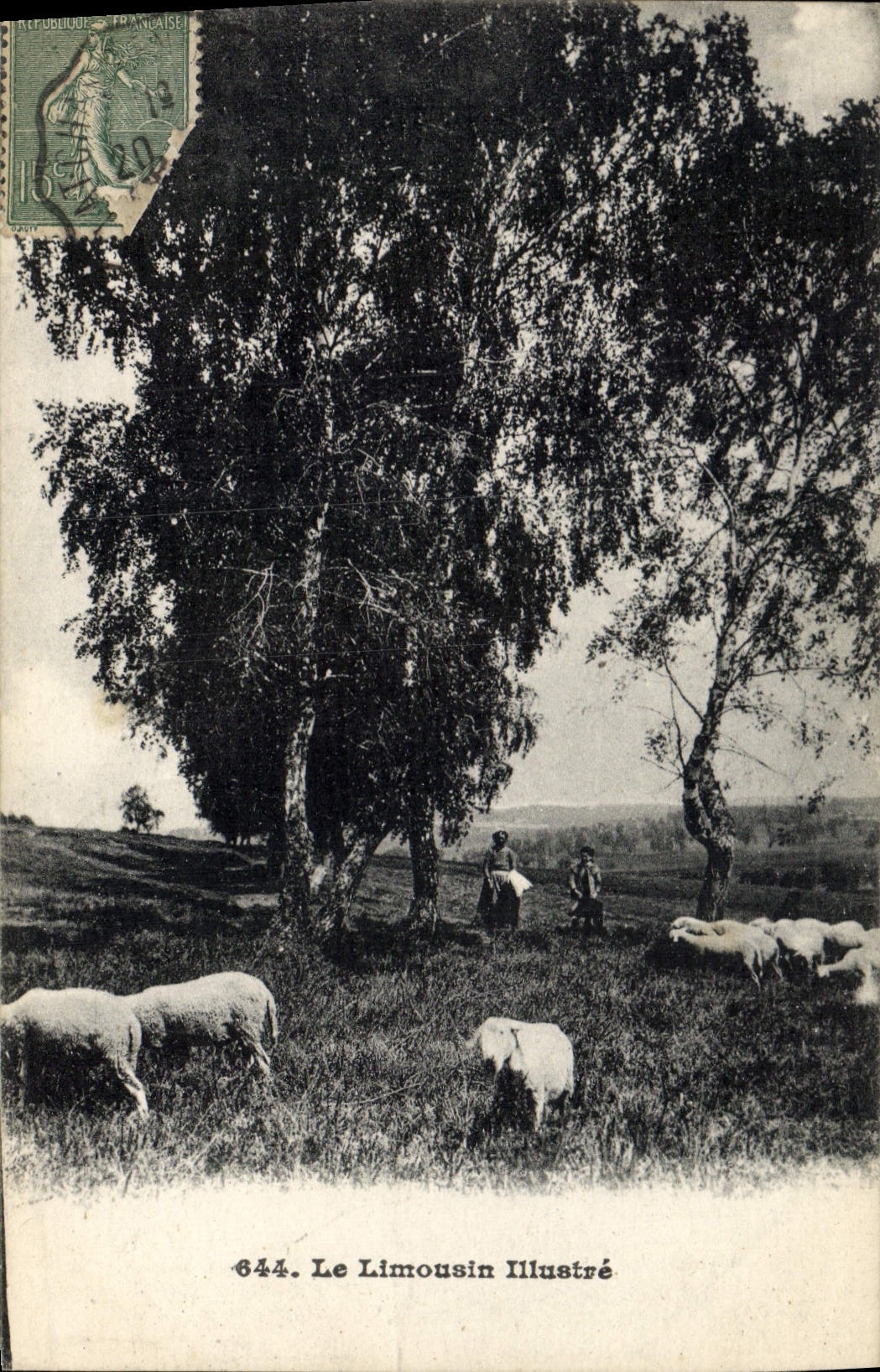 Vintage Postcard Folklore Sheep